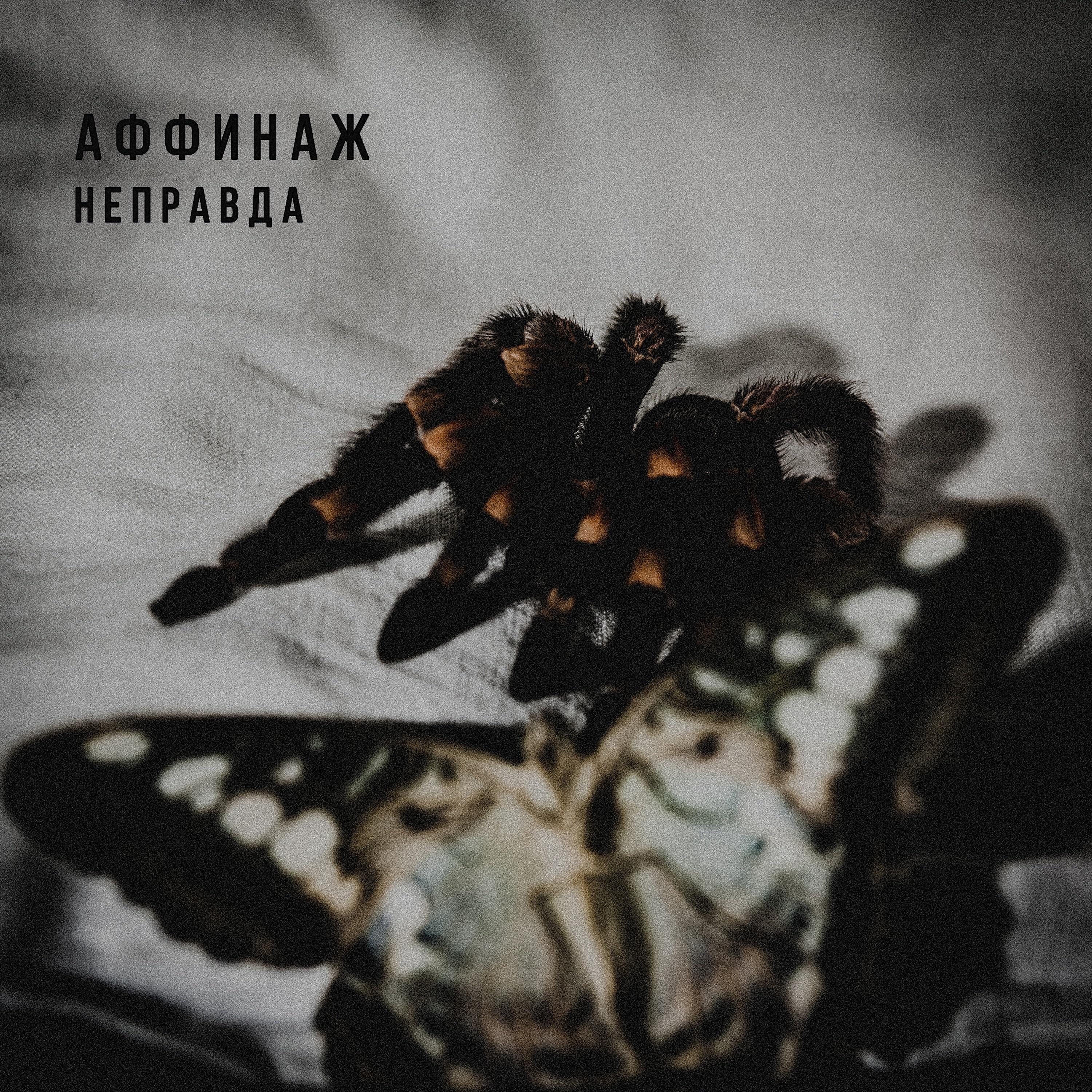 Релиз Неправда