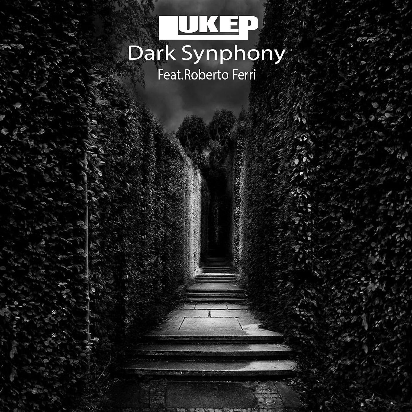 Трек Dark Synphony