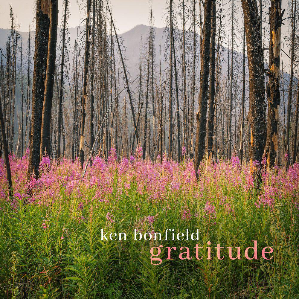 Релиз Gratitude