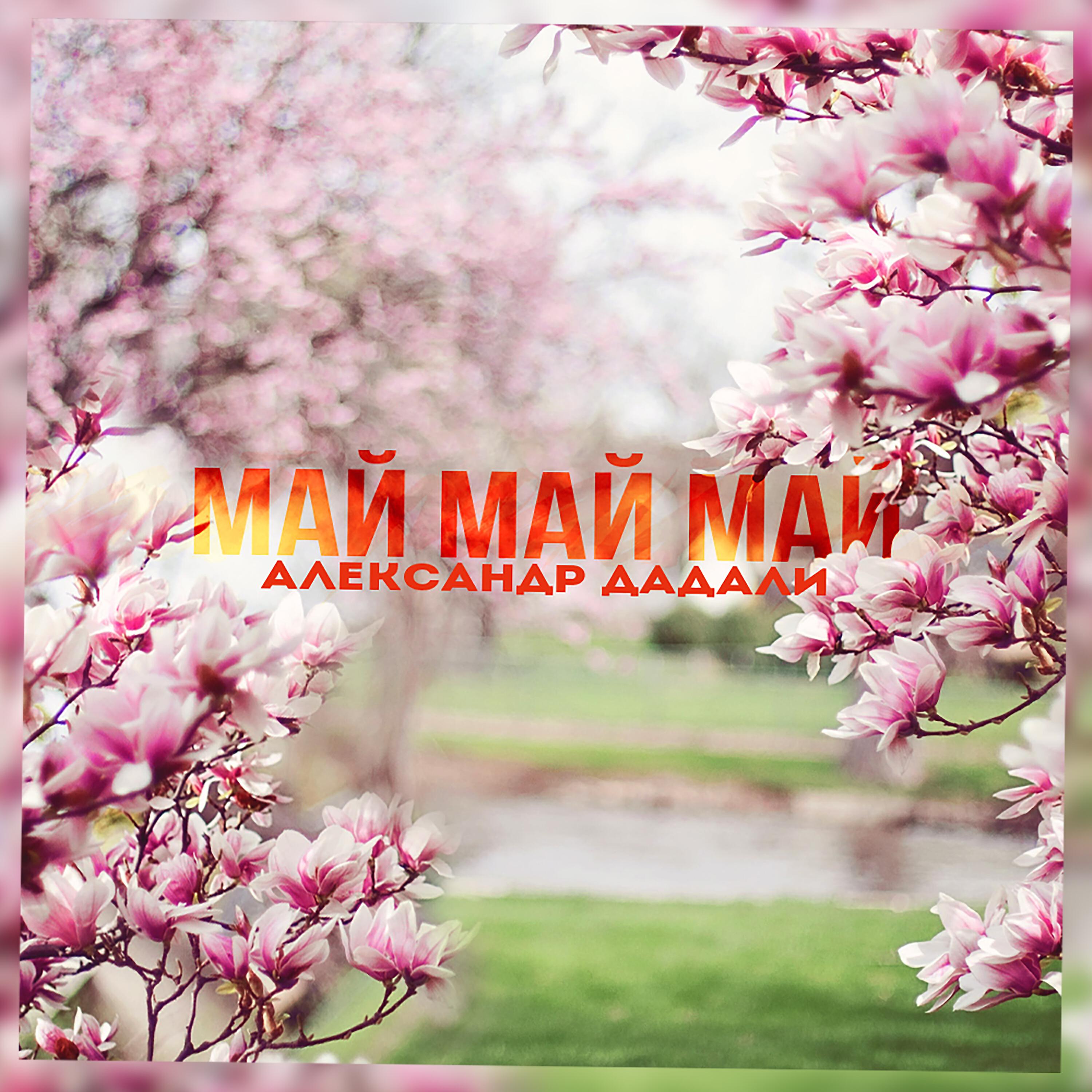Релиз Май май май