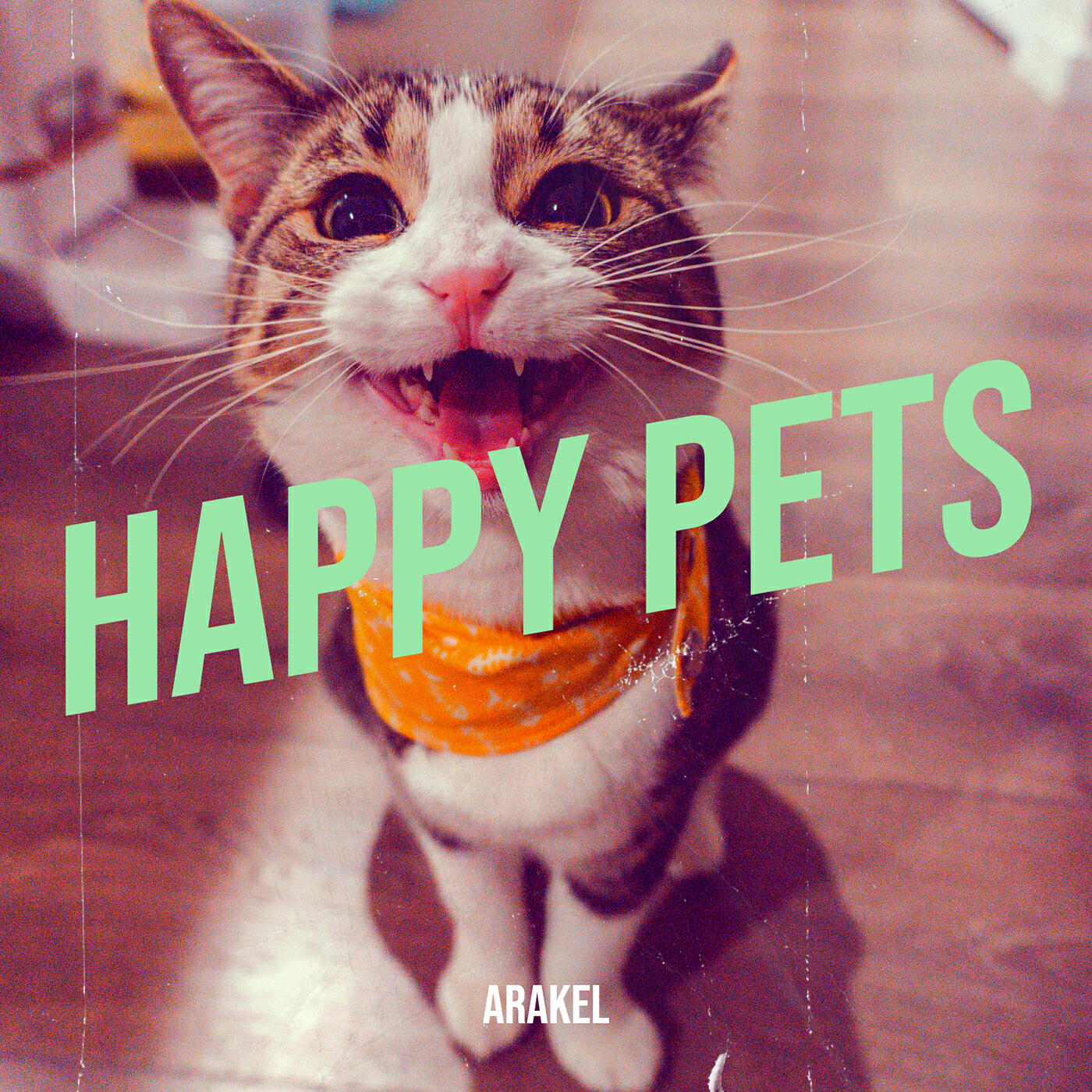 Релиз Happy Pets
