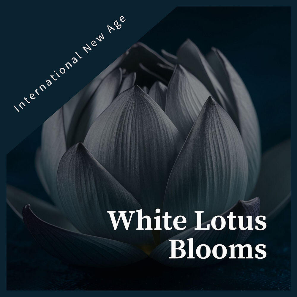 Релиз White Lotus Blooms