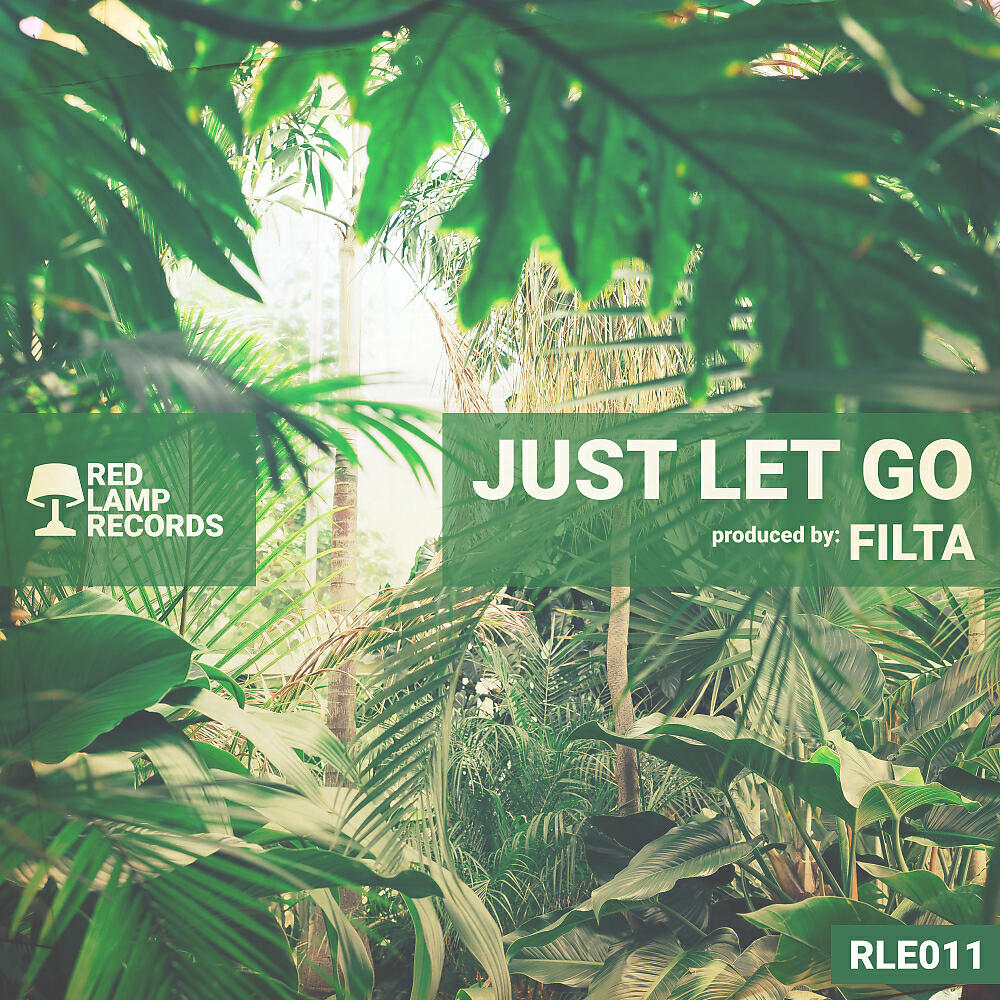 Релиз Just Let Go