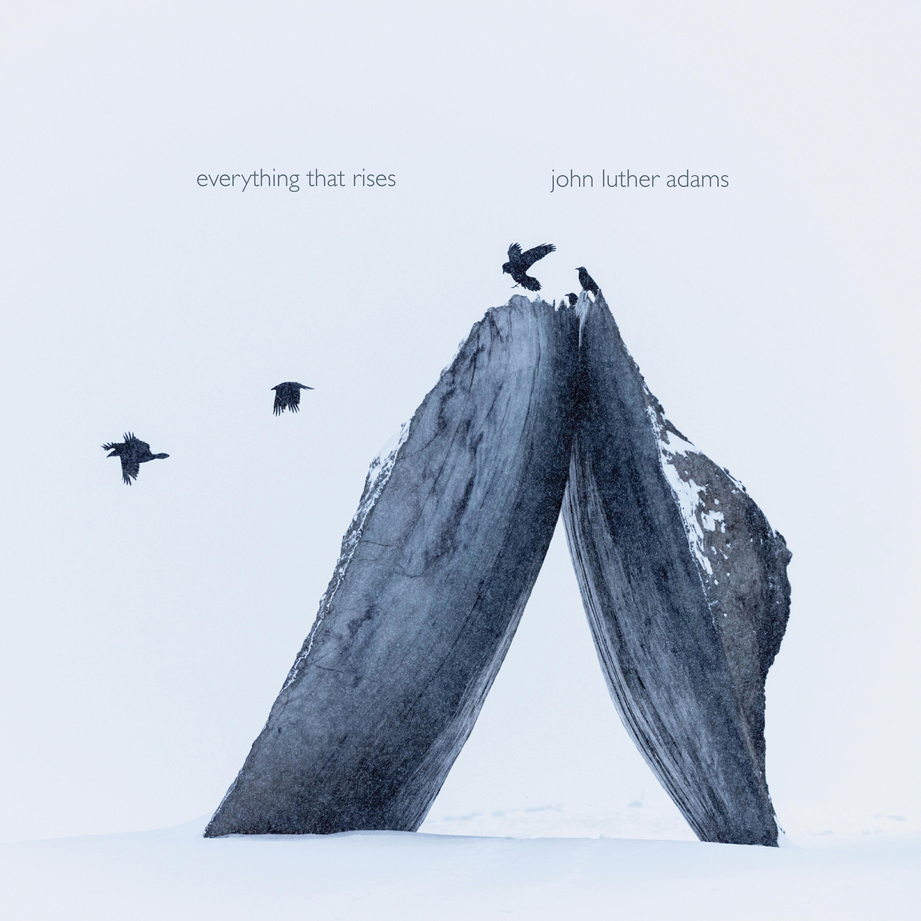 Релиз John Luther Adams: Everything That Rises