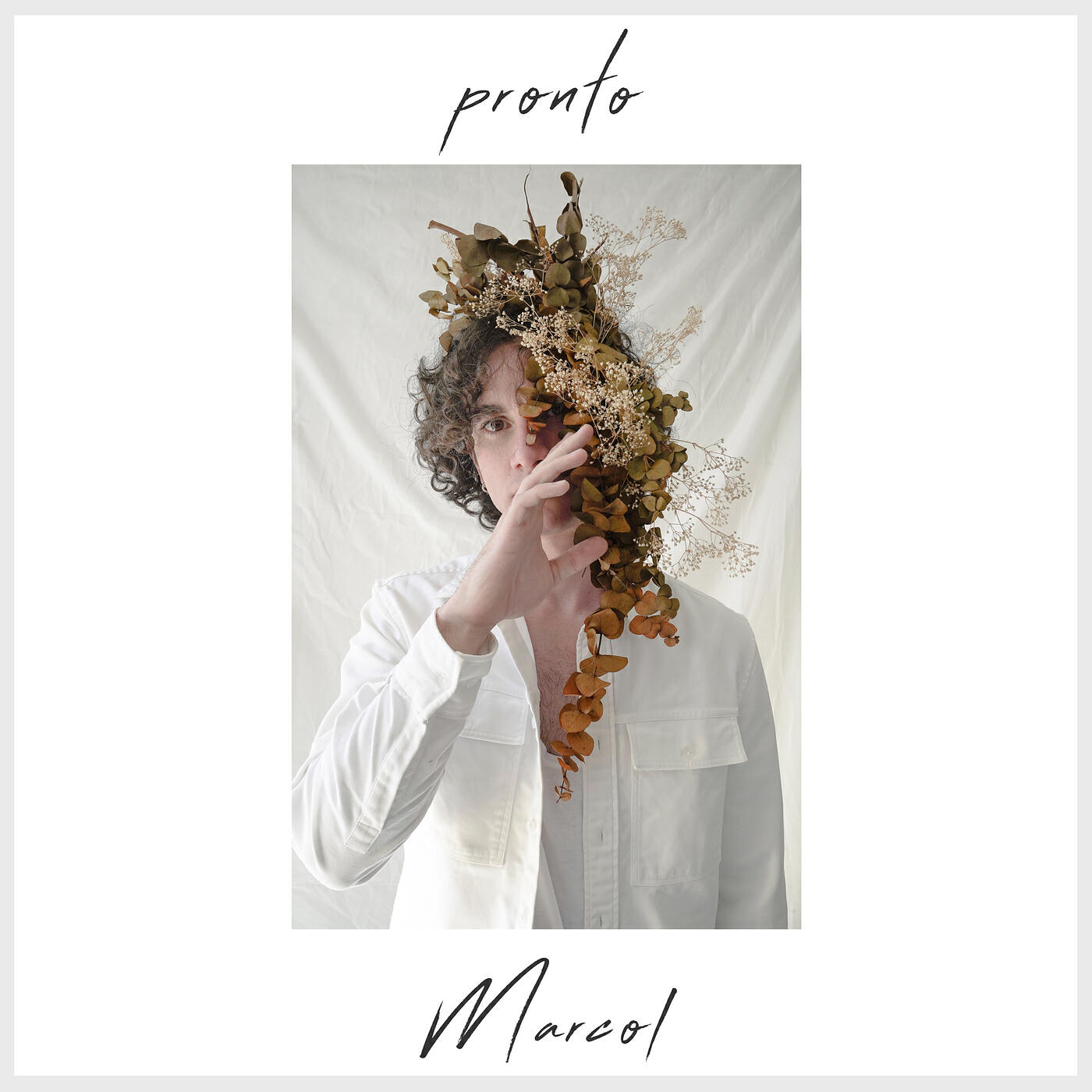 Релиз Pronto