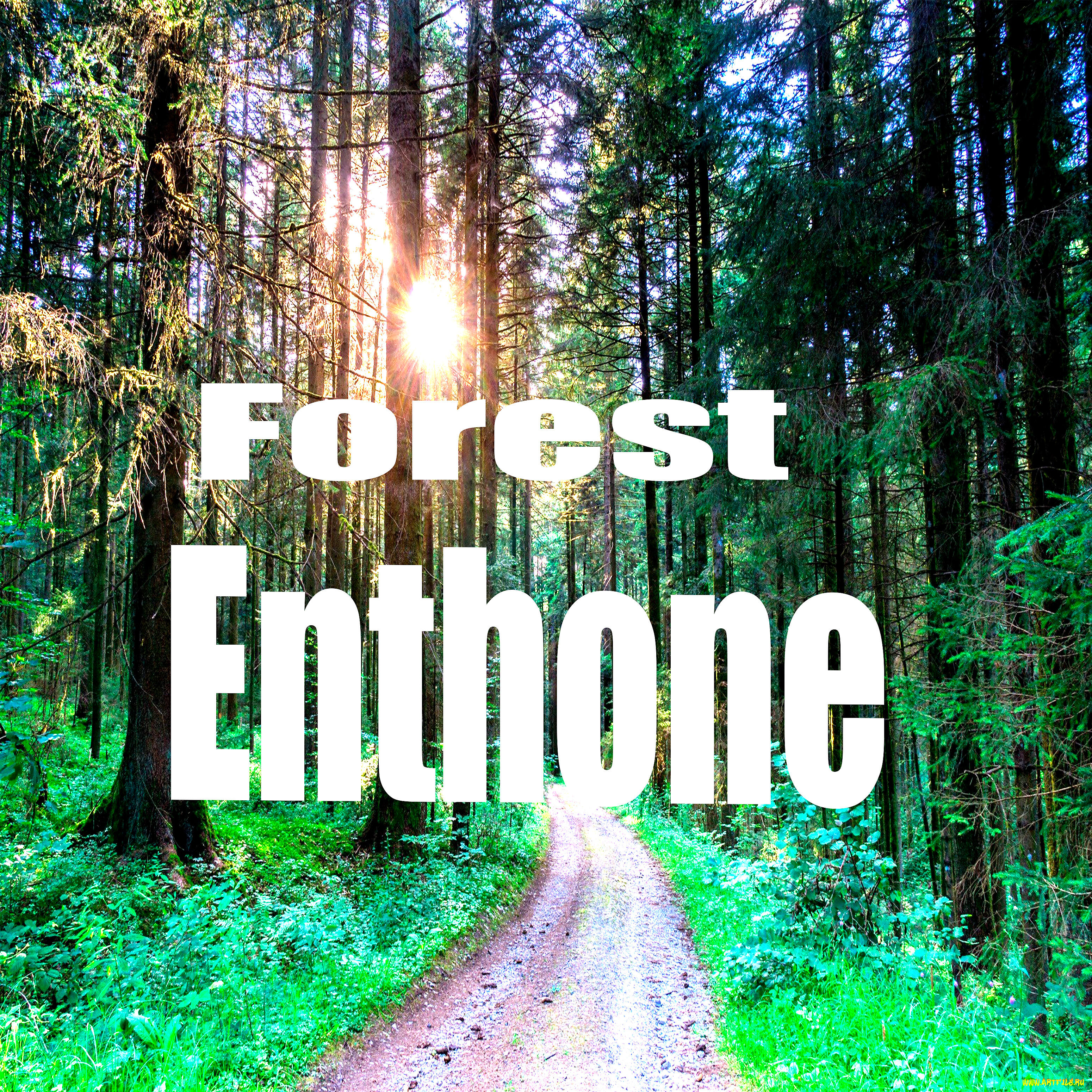 Релиз Forest Enthone