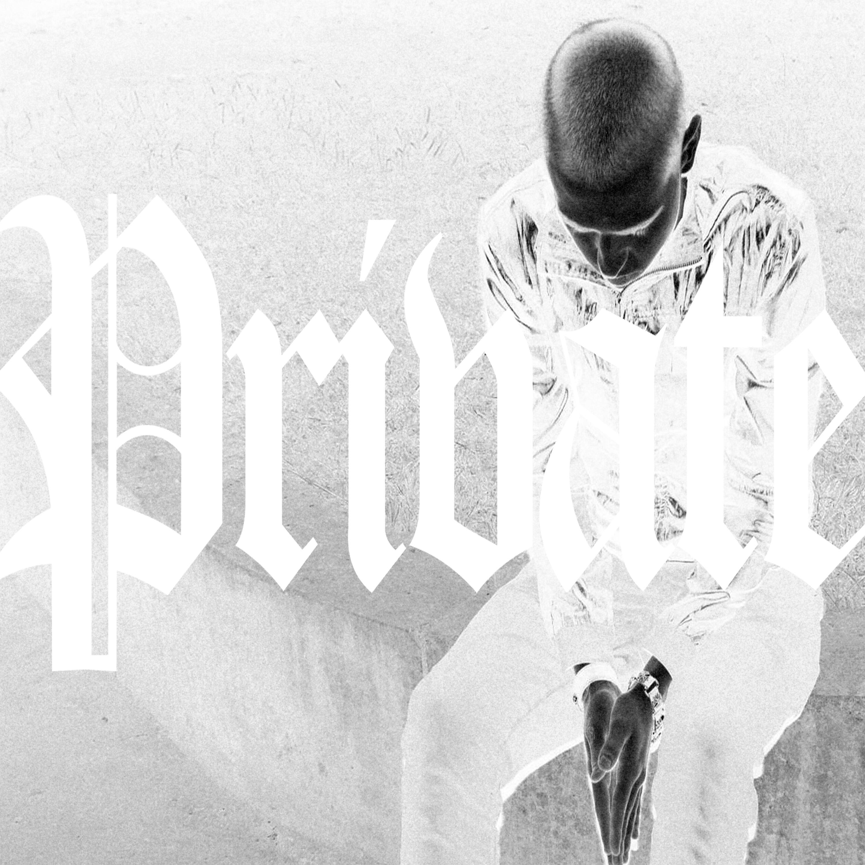 Релиз private