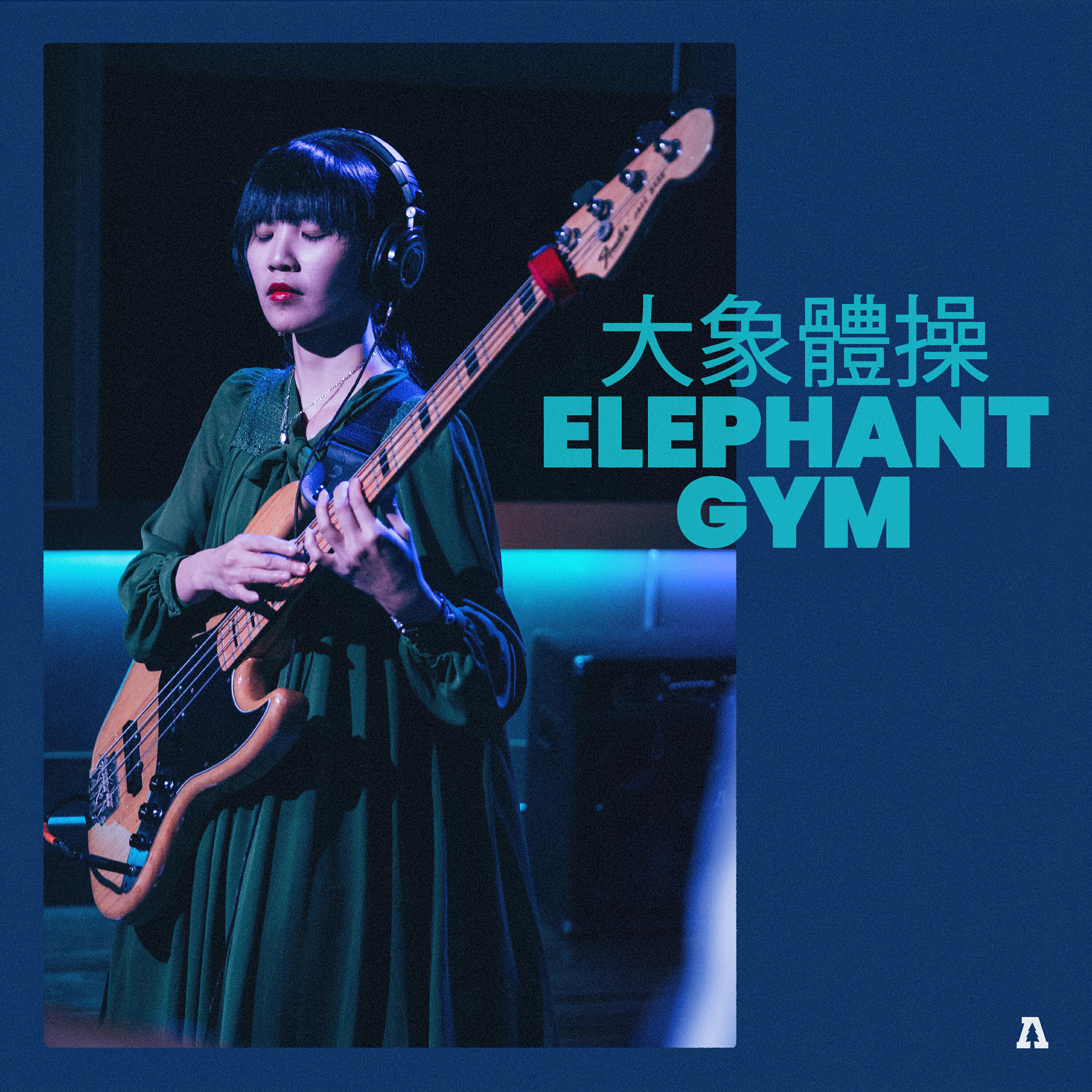 Релиз Elephant Gym on Audiotree Live