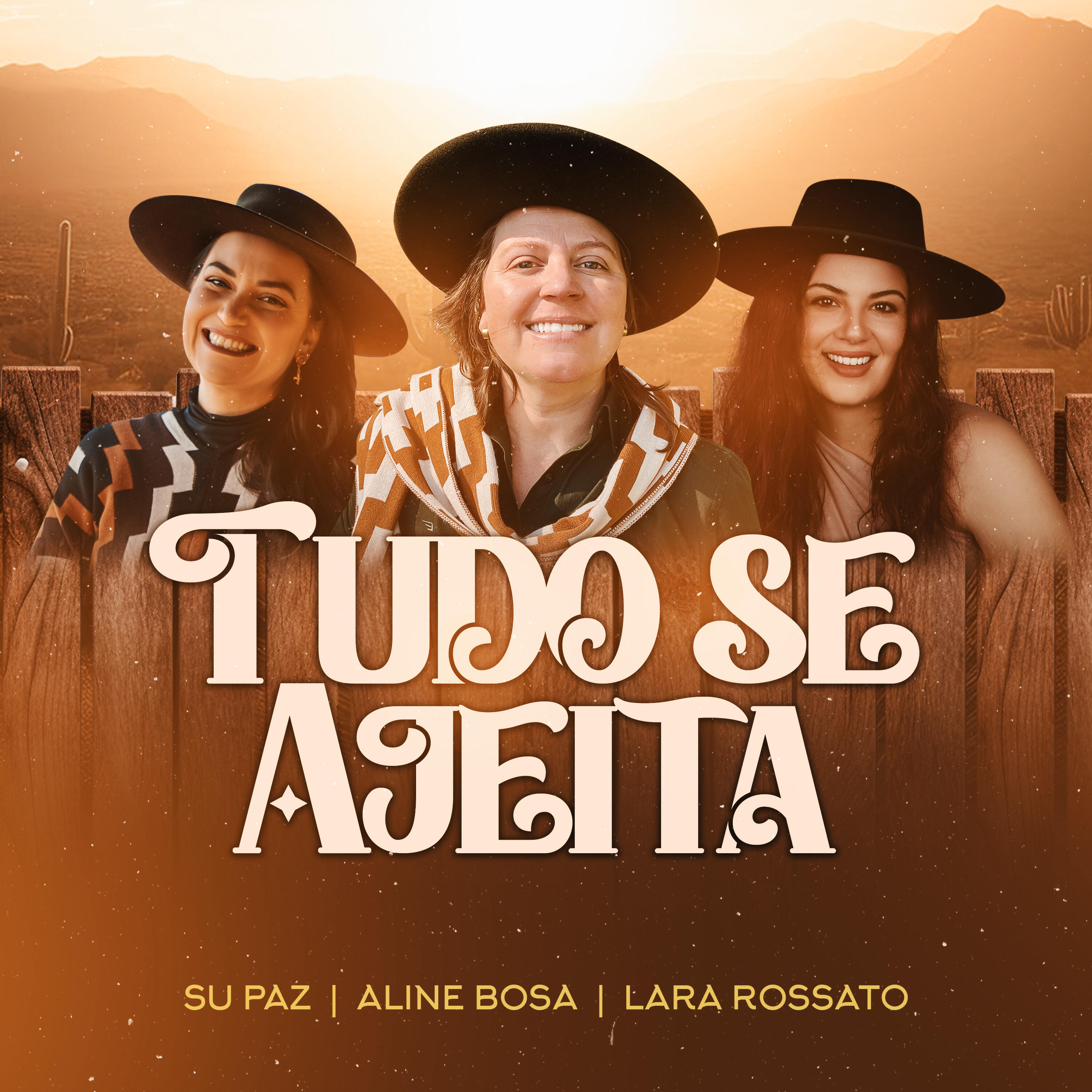 Релиз Tudo Se Ajeita