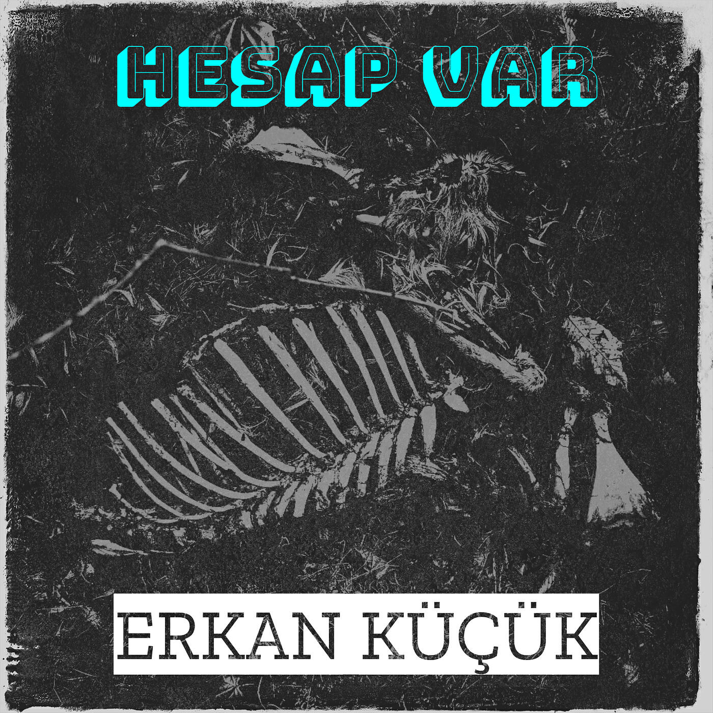 Erkan küçük