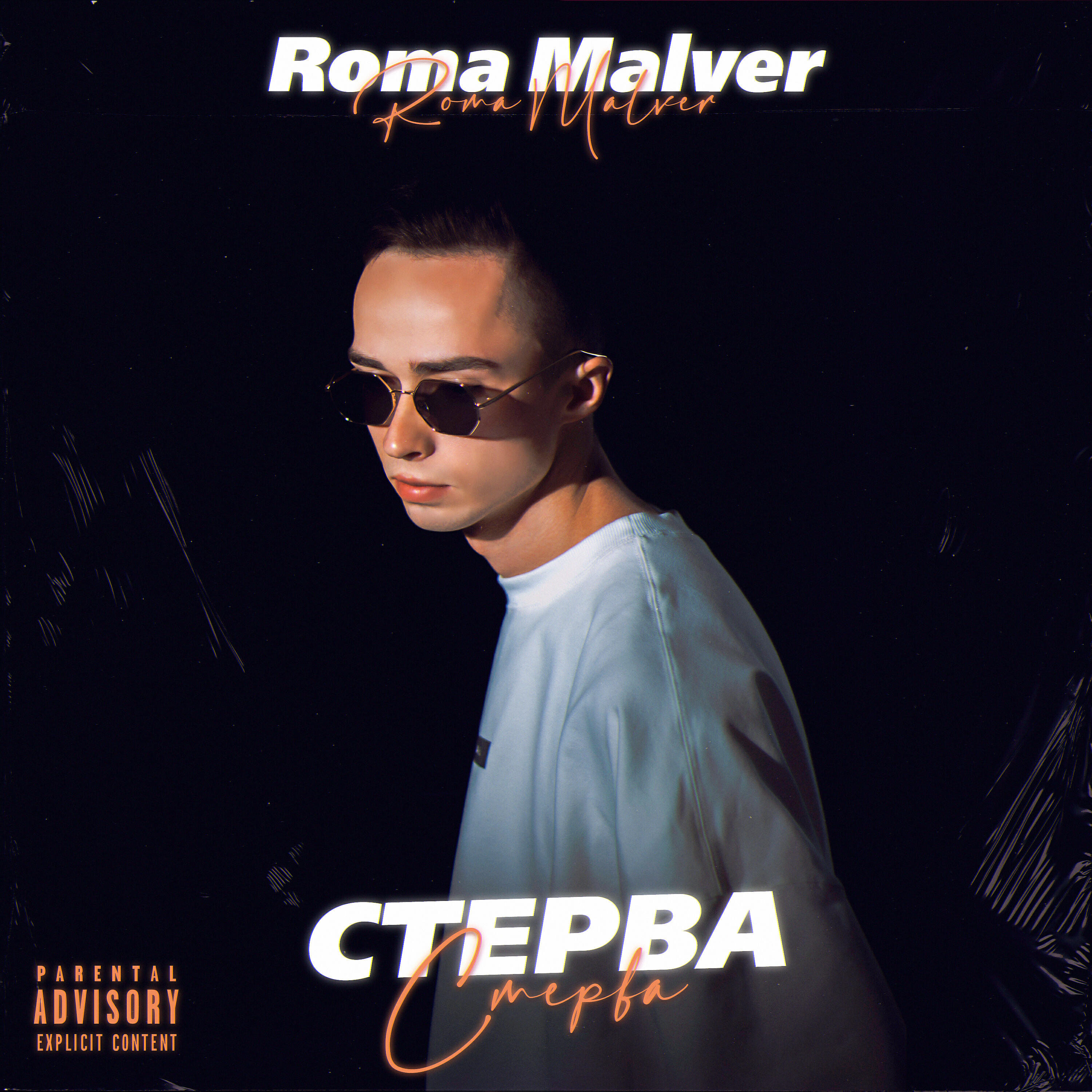 Постер альбома Стерва