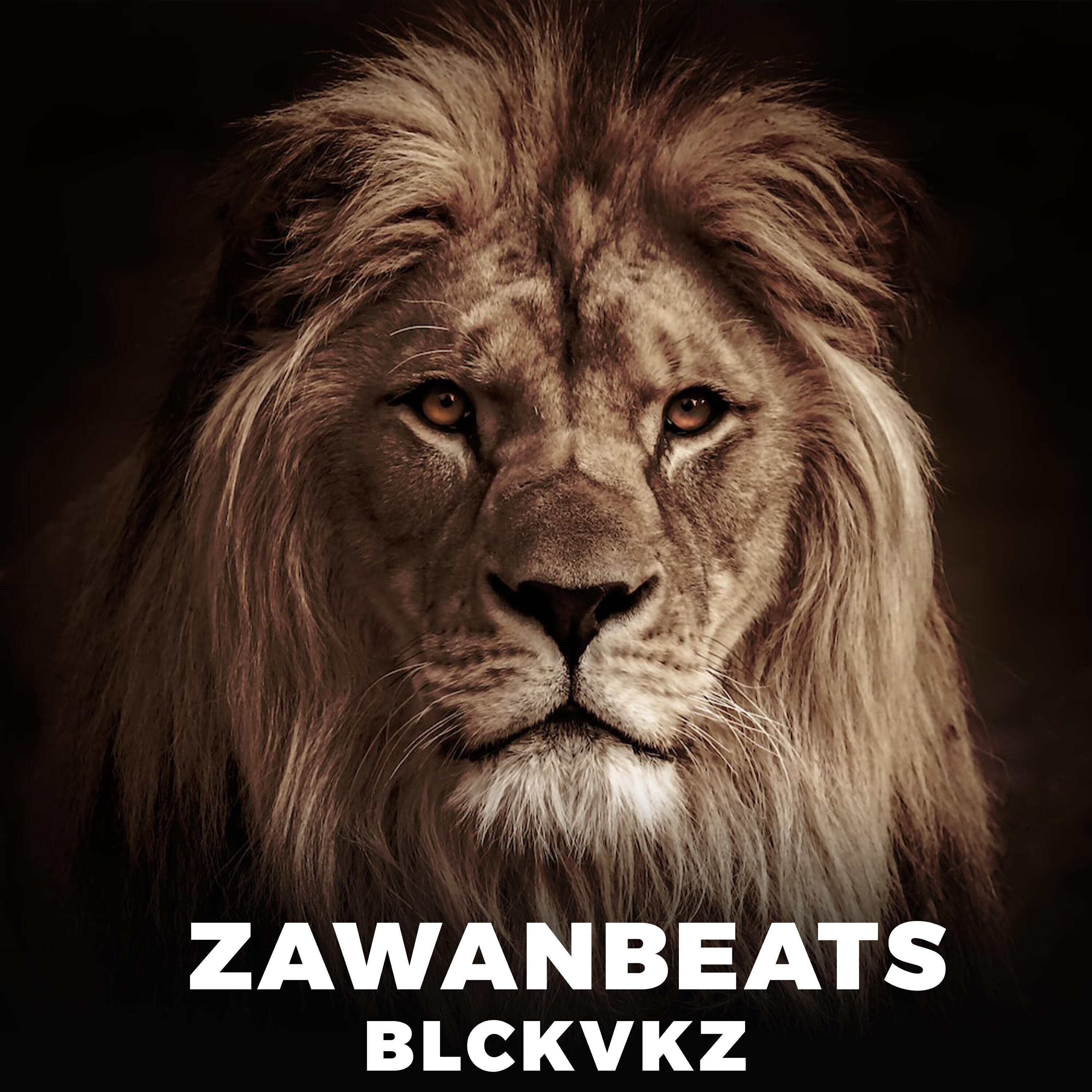 Релиз BLCKVKZ