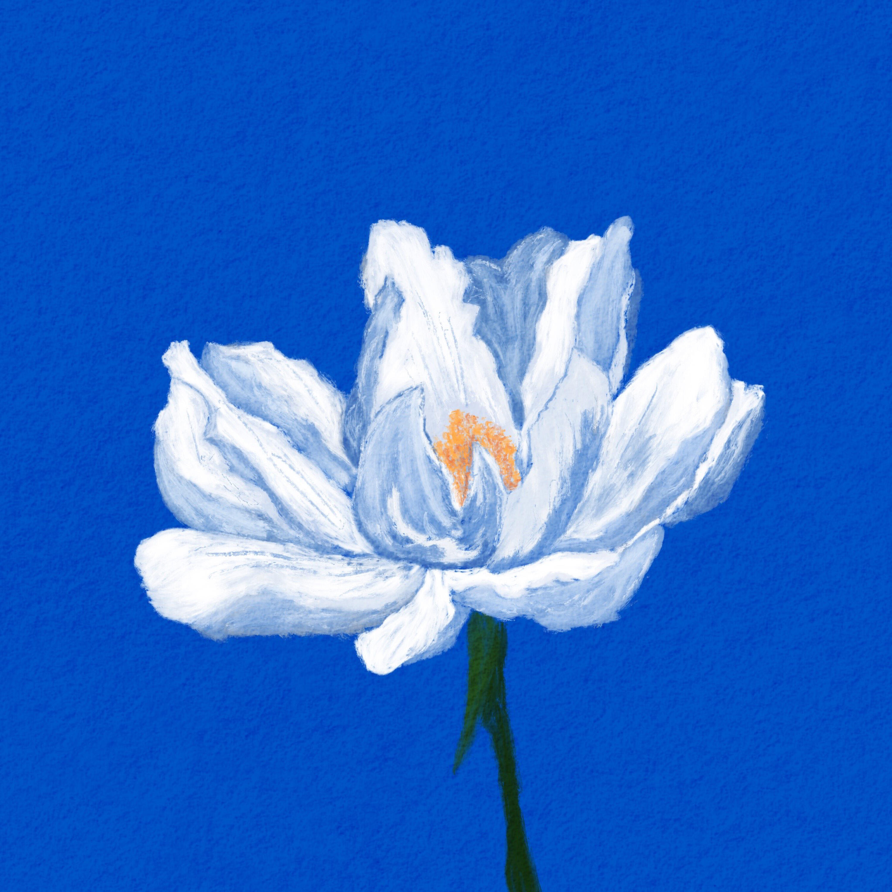 Релиз Light