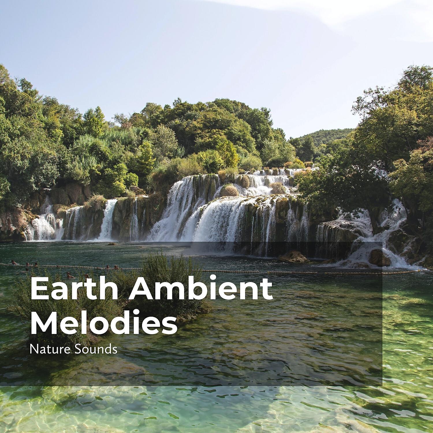 Релиз Earth Ambient Melodies