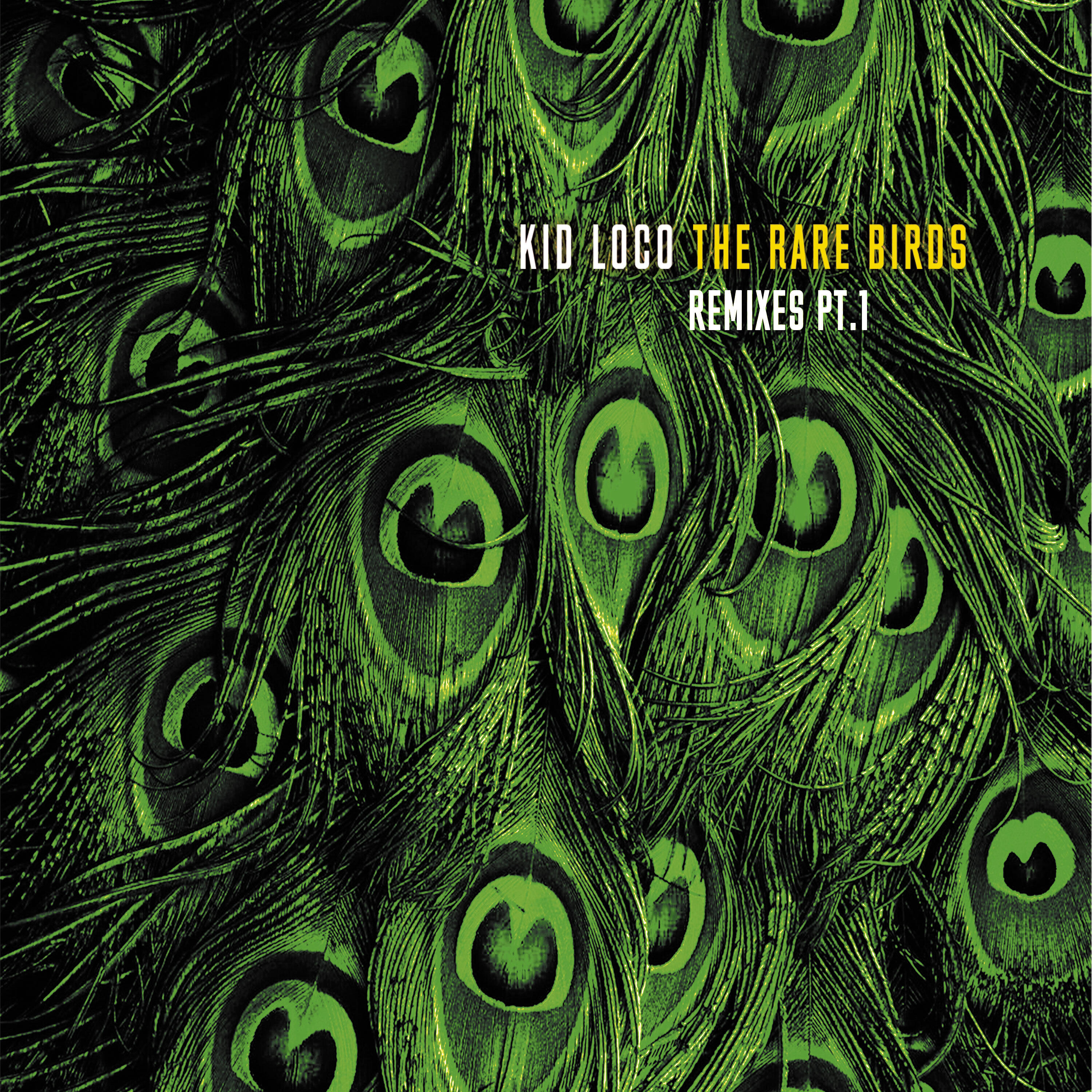 Релиз The Rare Birds Remixes, Pt. 1
