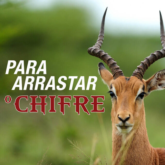 Релиз Para arrastar o chifre