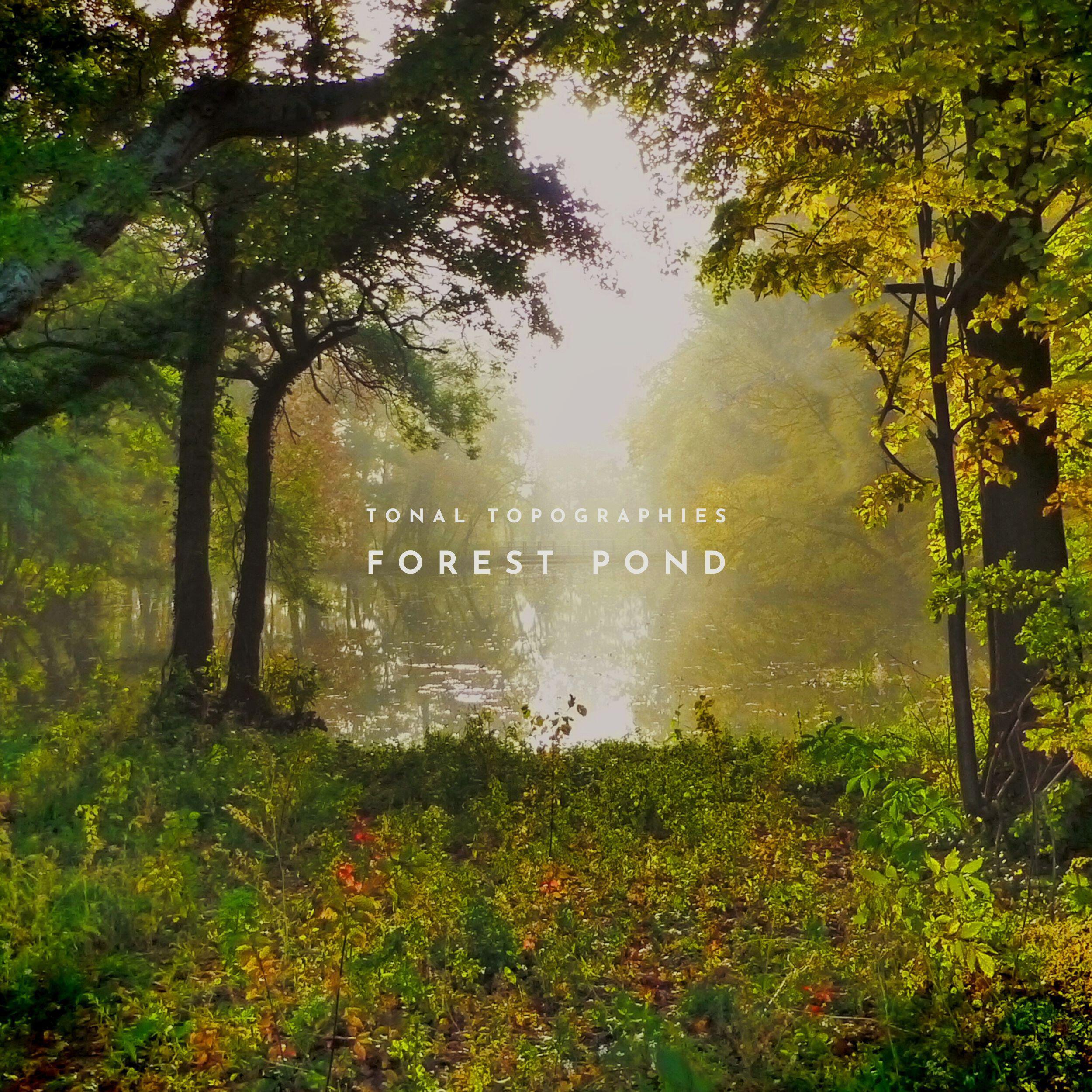 Релиз Forest Pond