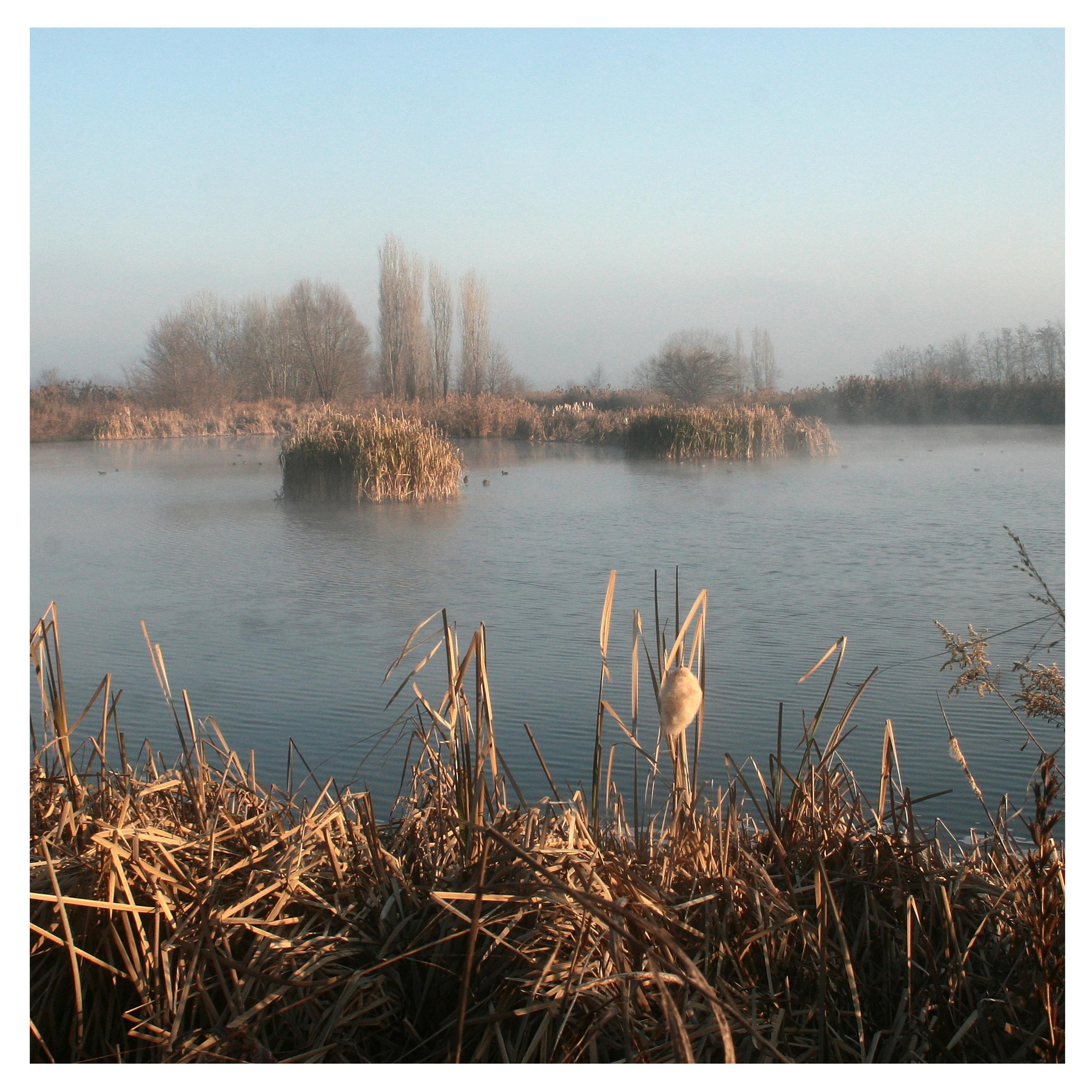 Релиз By the River