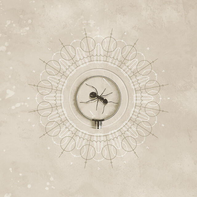 Релиз Brighten
