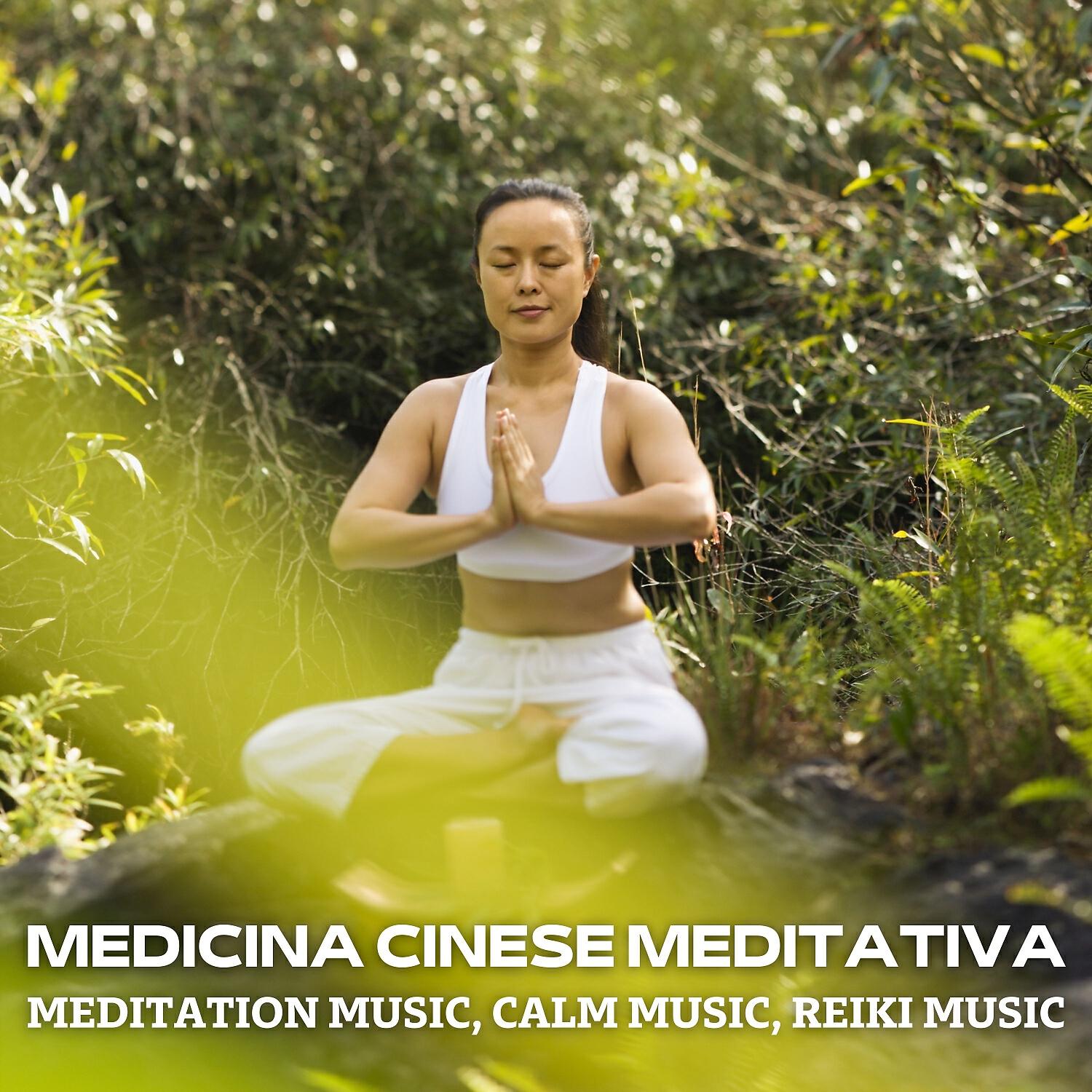 Постер альбома Medicina cinese meditativa