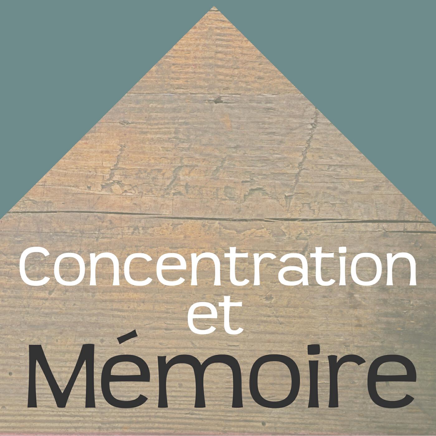 Релиз Concentration et Mémoire - Les Meilleures Chansons pour Training Autogène, Entrainement Cérébral, Améliorer sa Mémoire et Jeux de Mémoire