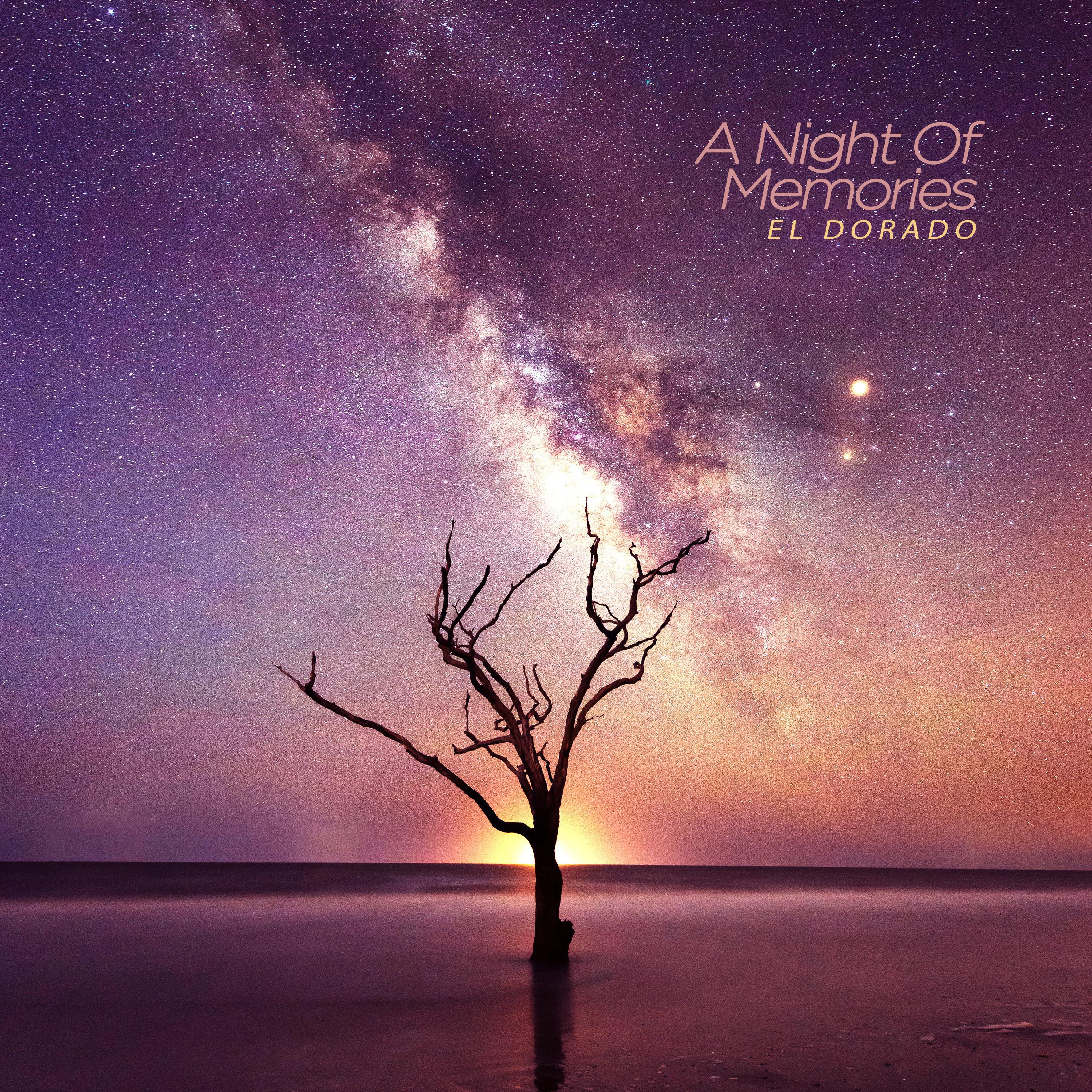 Релиз Night in which memories bloom
