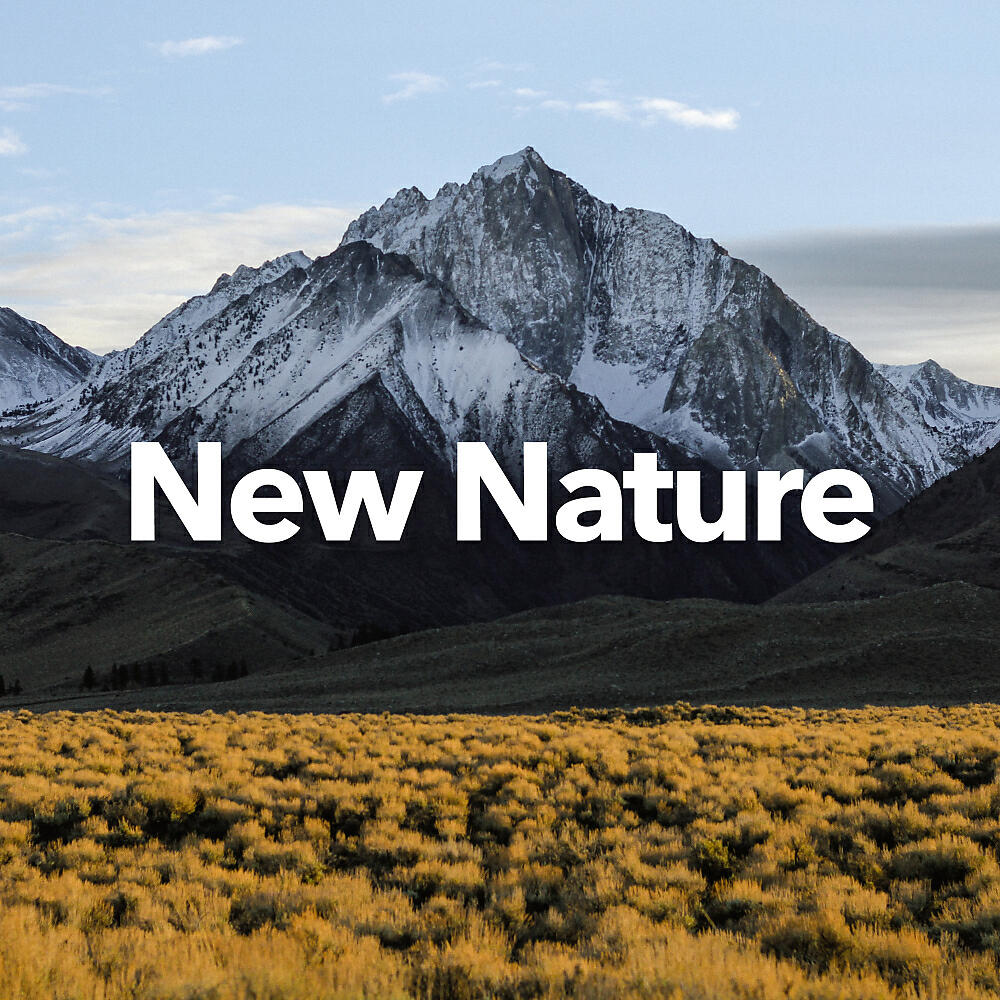 Релиз New Nature