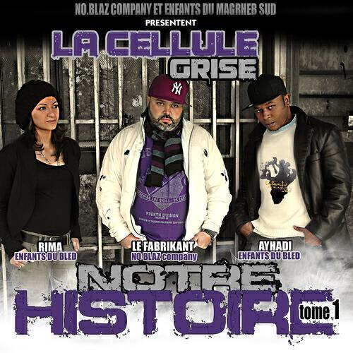 La cellule grise