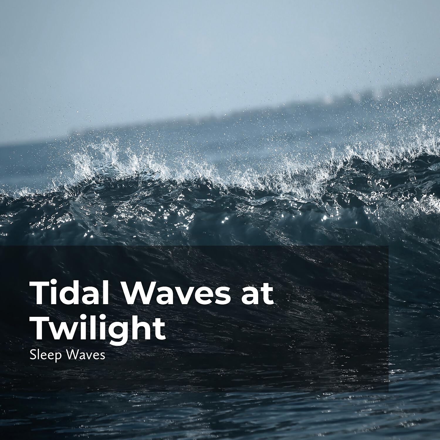 Релиз Tidal Waves at Twilight