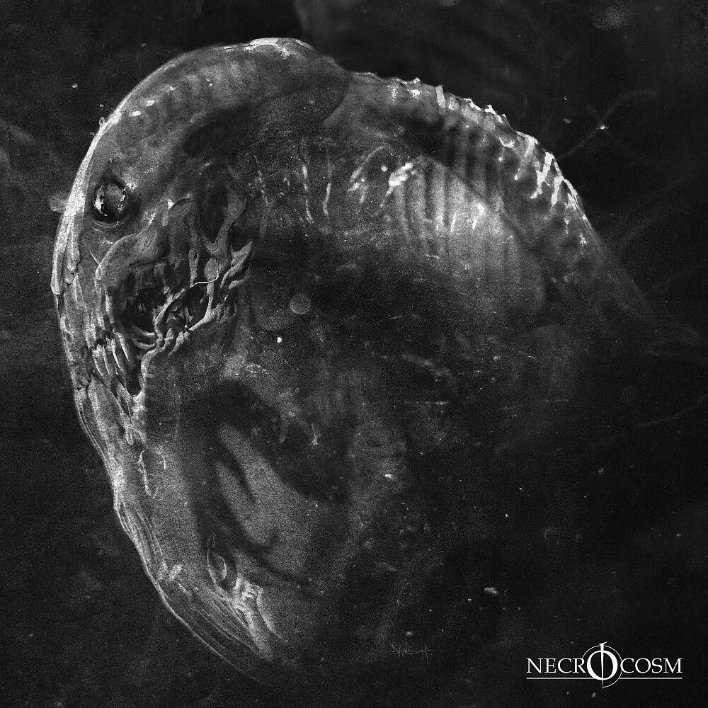 Релиз Embryo