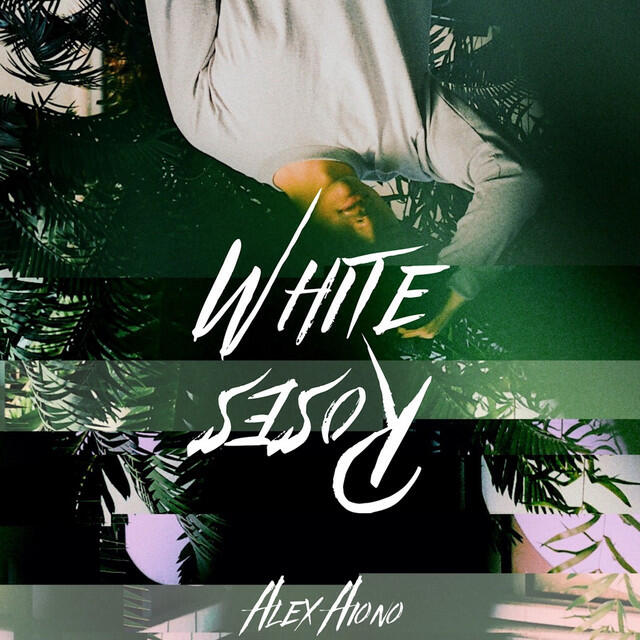 Релиз White Roses