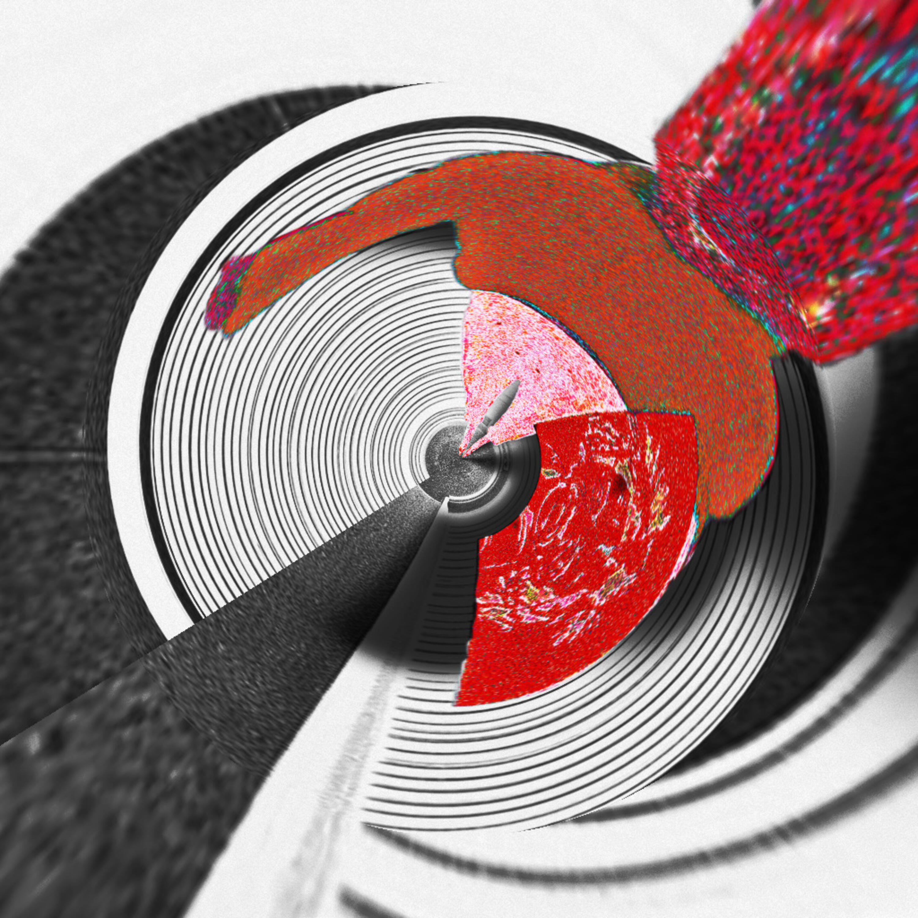 Релиз Egolose
