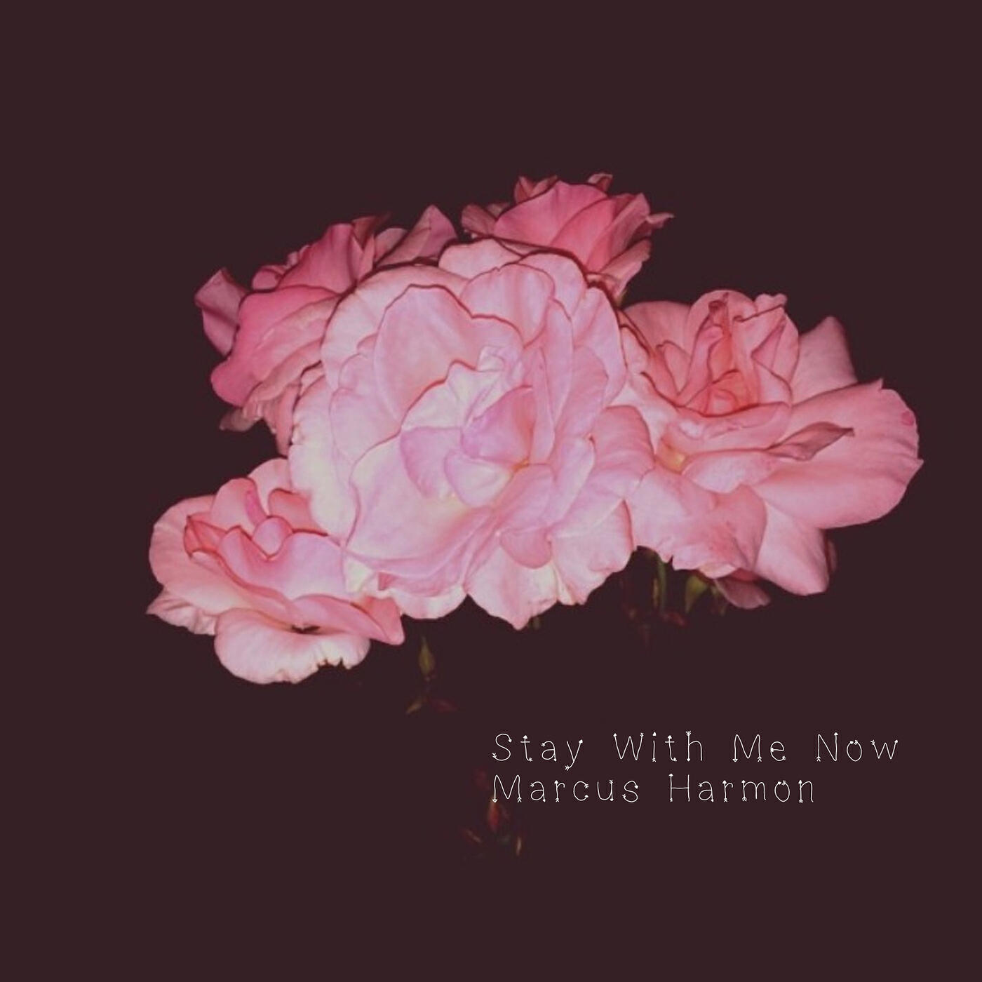 Релиз Stay With Me Now