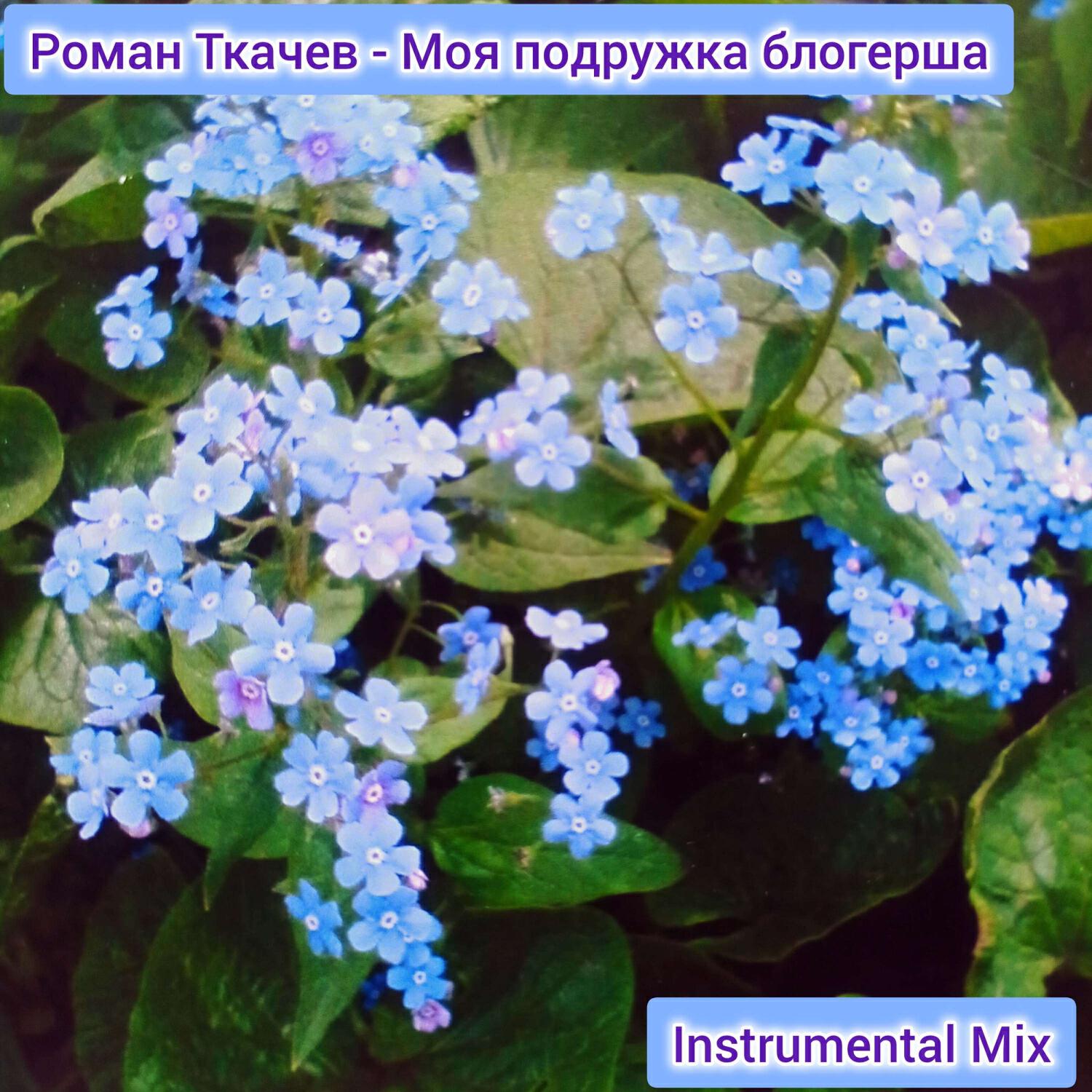 Релиз Моя подружка блогерша (Instrumental Mix)