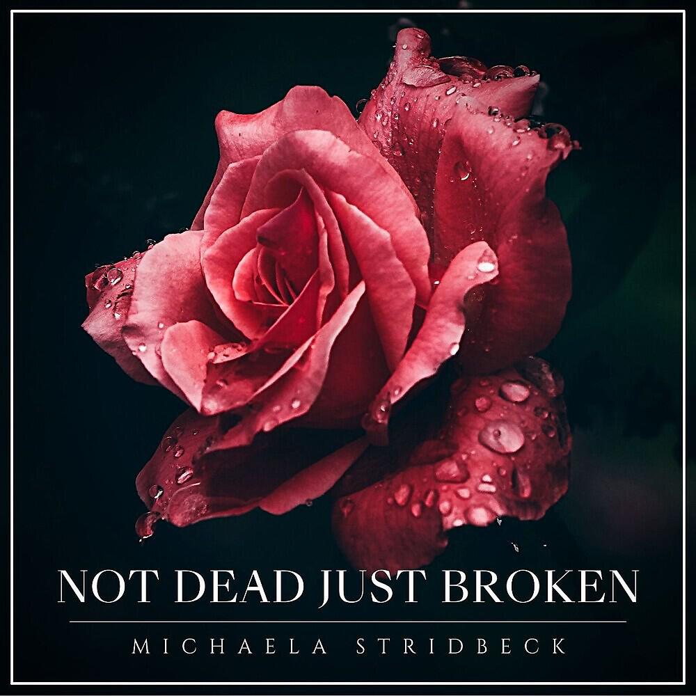Релиз Not Dead Just Broken