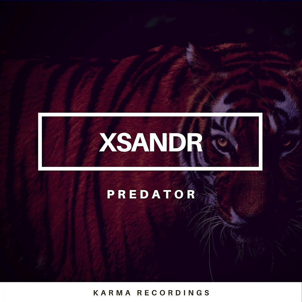 Xsandr