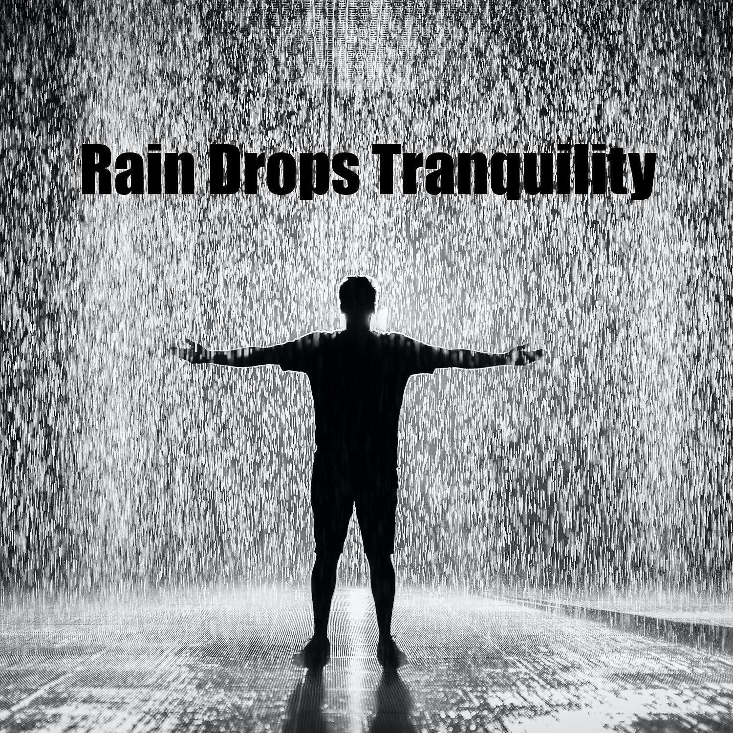 Релиз Rain Drops Tranquility