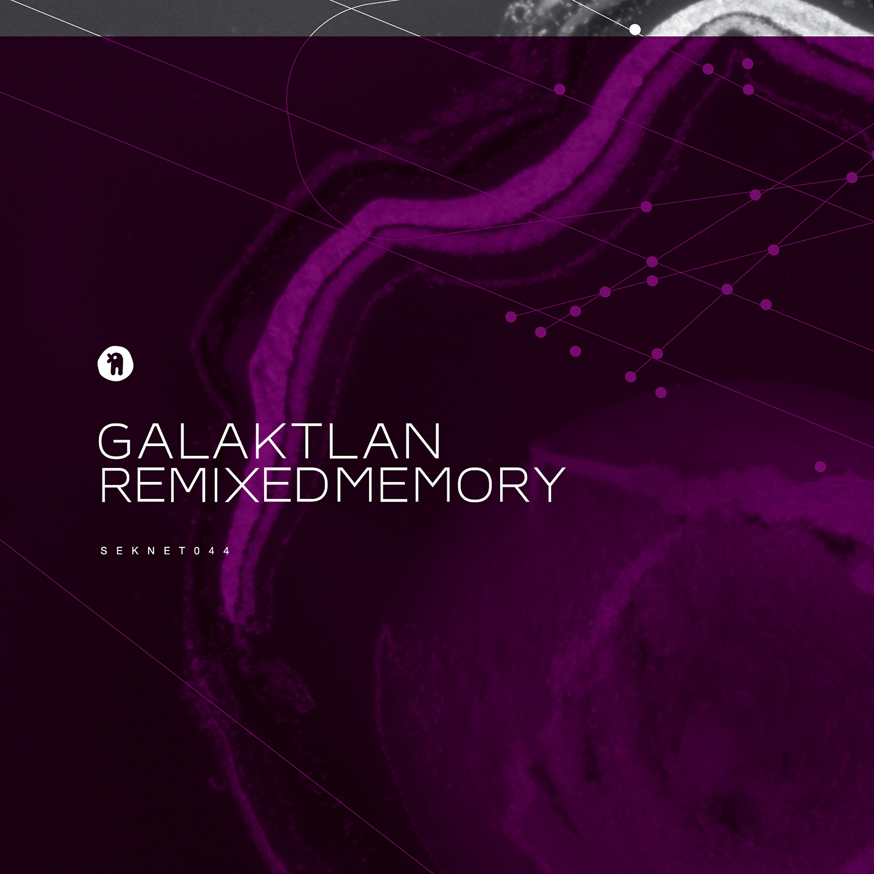 Релиз Remixed Memory