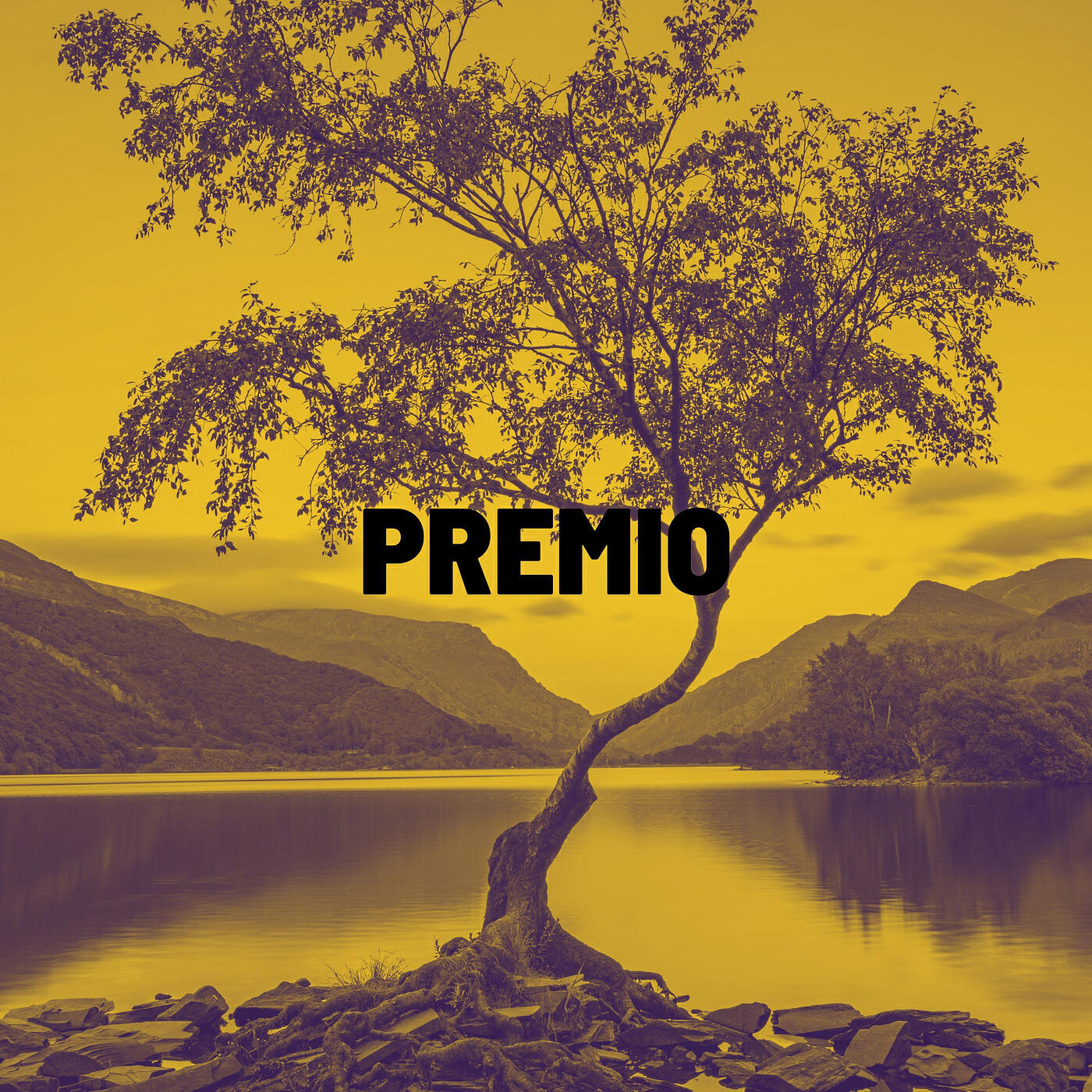Релиз Premio