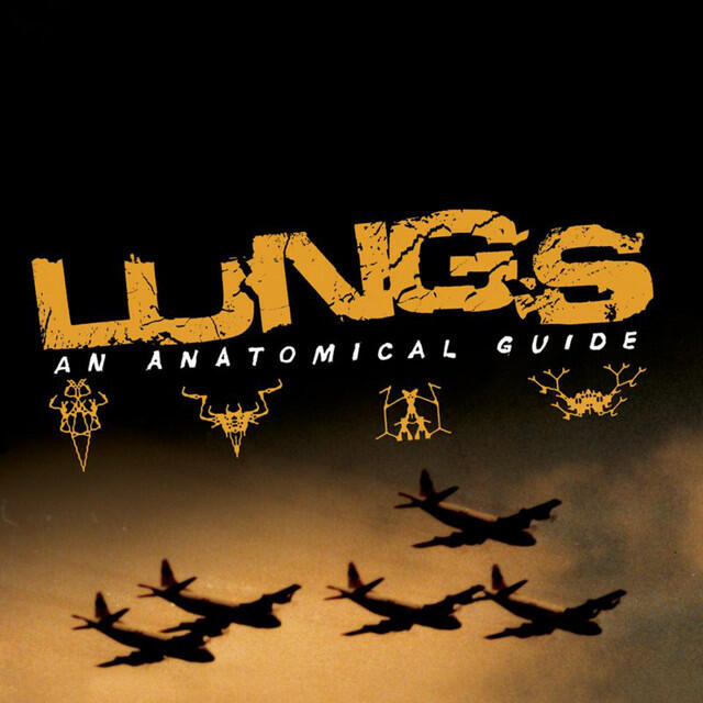Релиз An Anatomical Guide