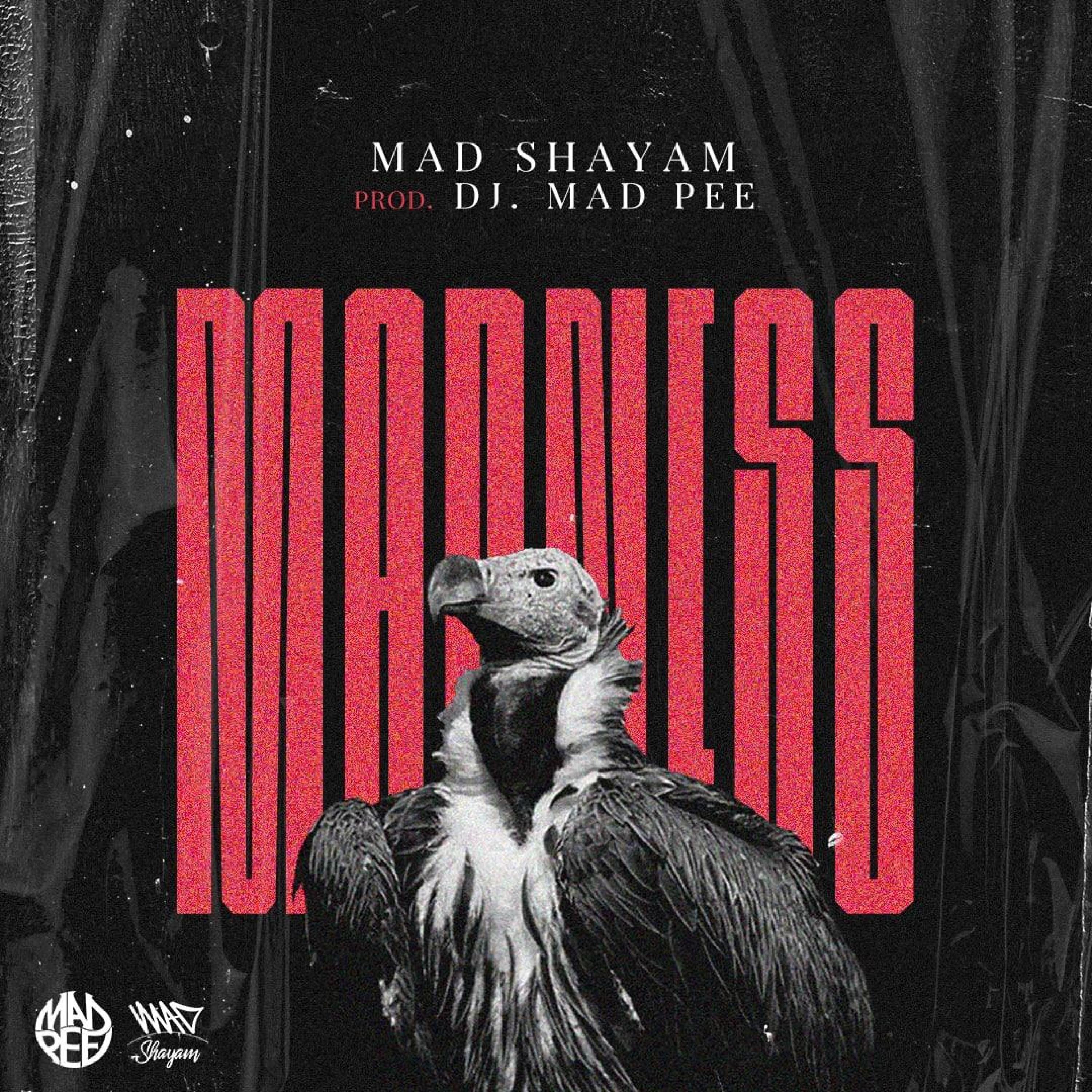 Релиз Madness