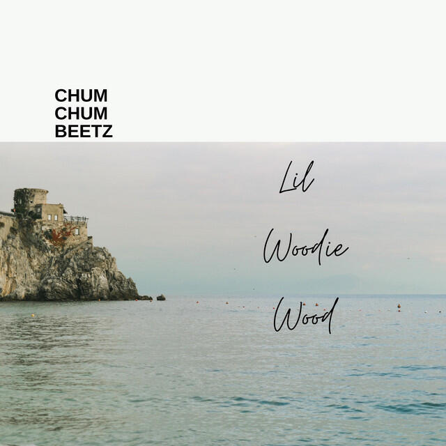 Релиз Chum Chum Beetz
