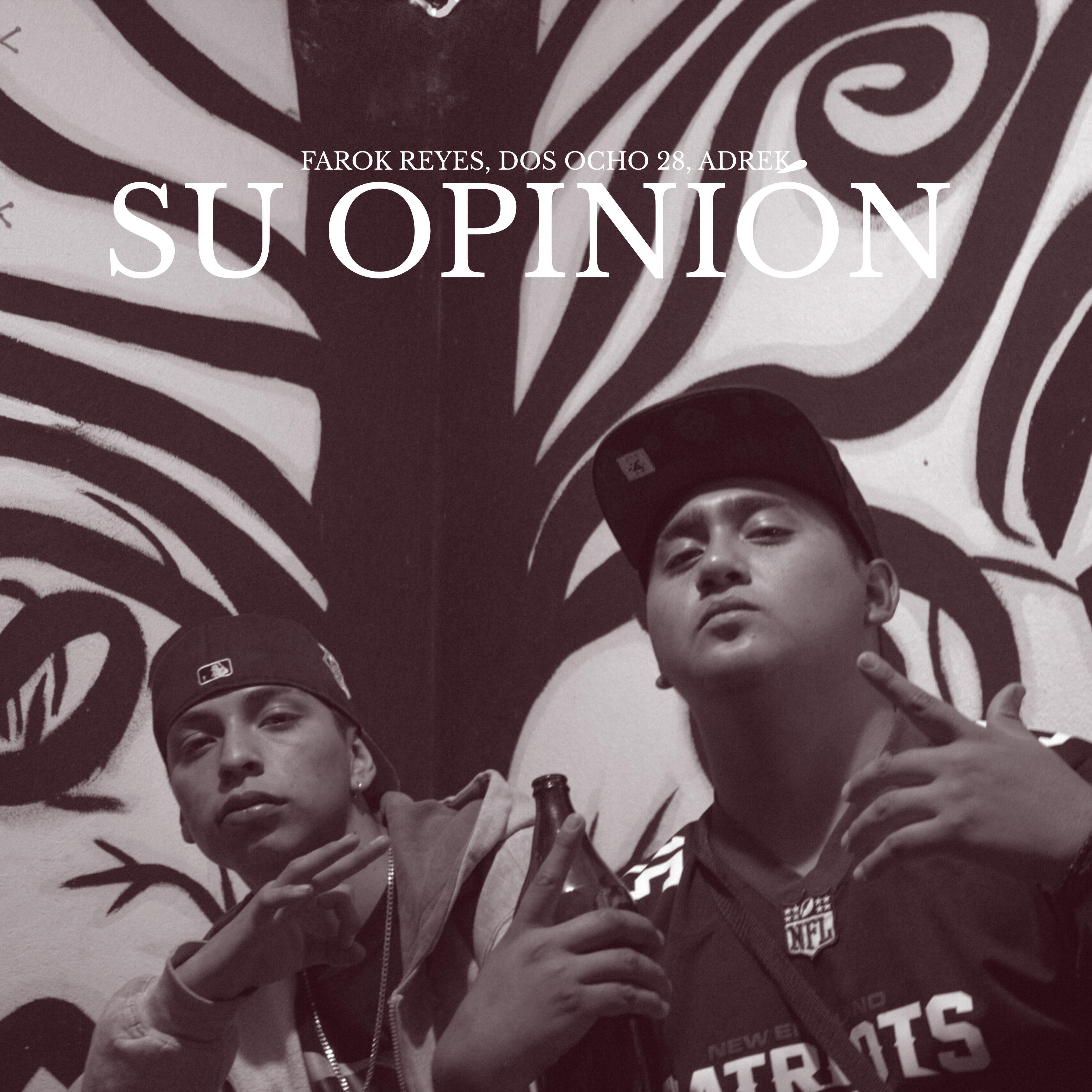 Релиз Su Opinión