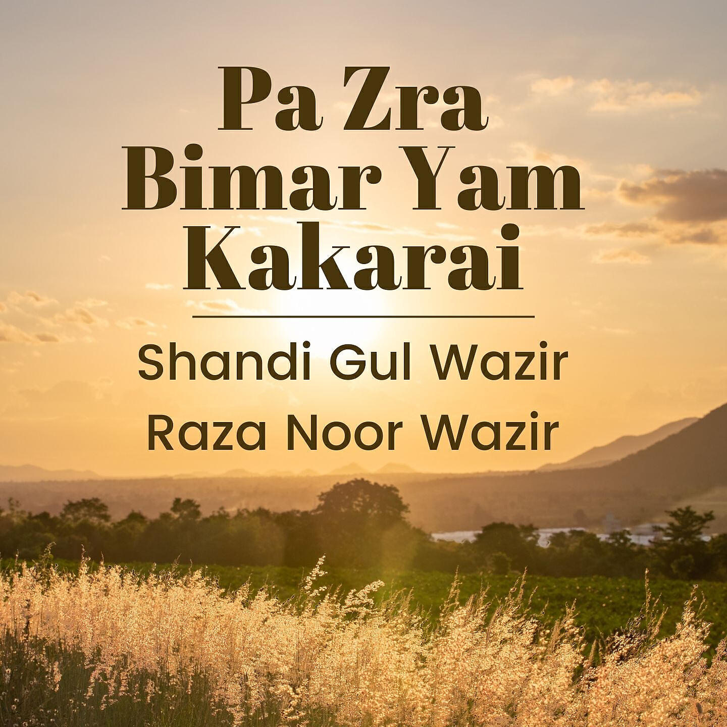 Релиз Pa Zra Bimar Yam Kakarai