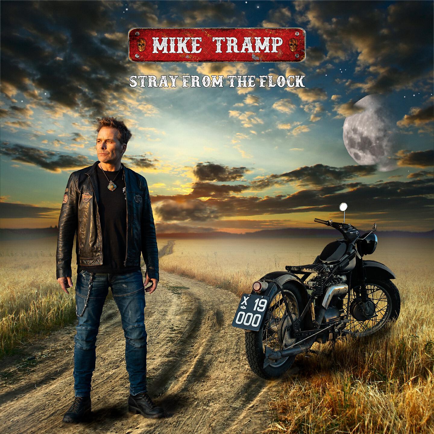 Релиз Stray from the Flock
