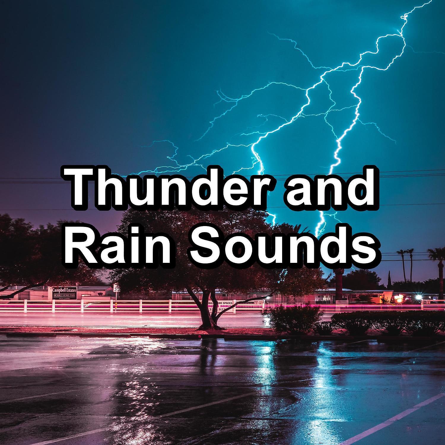 Релиз Thunder and Rain Sounds
