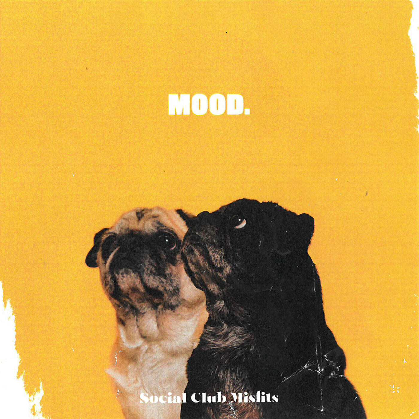 Релиз MOOD.