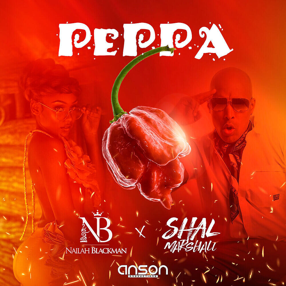 Скачать песню Nailah Blackman, Shal Marshall - Peppa бесплатно в MP3 для Android и iOS