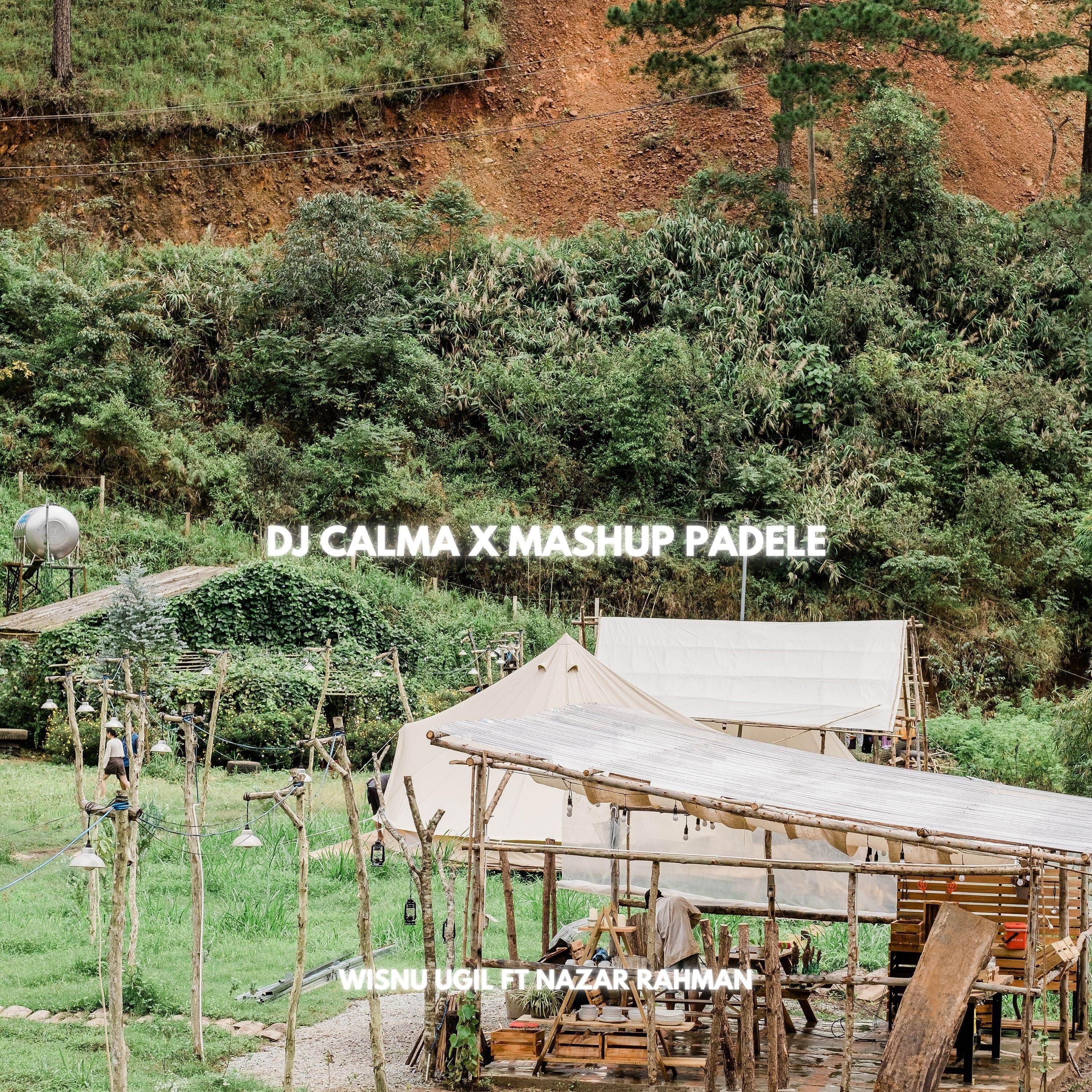 Релиз DJ CALMA X MASHUP PADELE