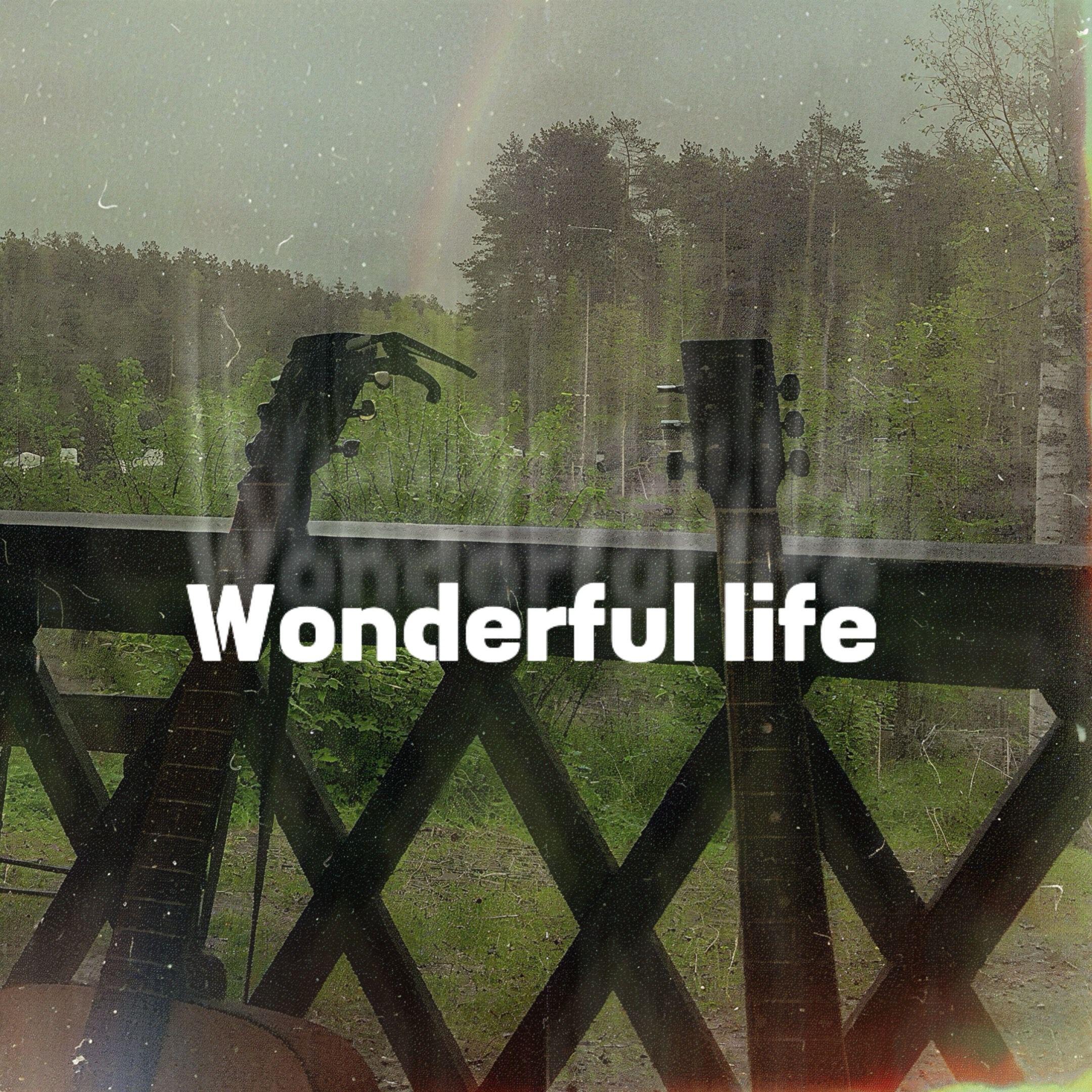 Релиз Wonderful life